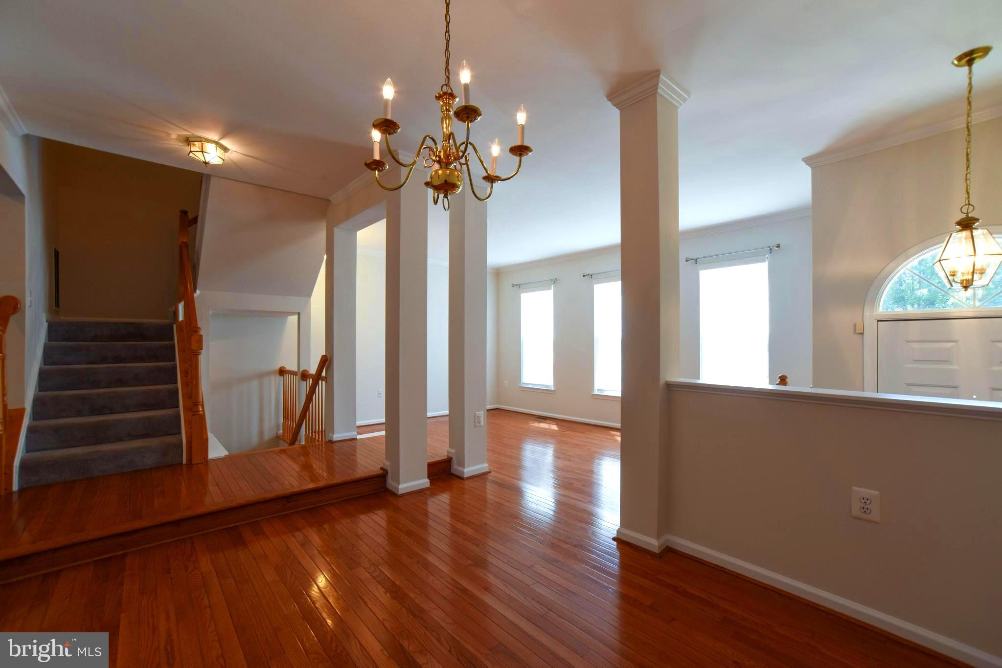 POTOMAC HUNT - Residential