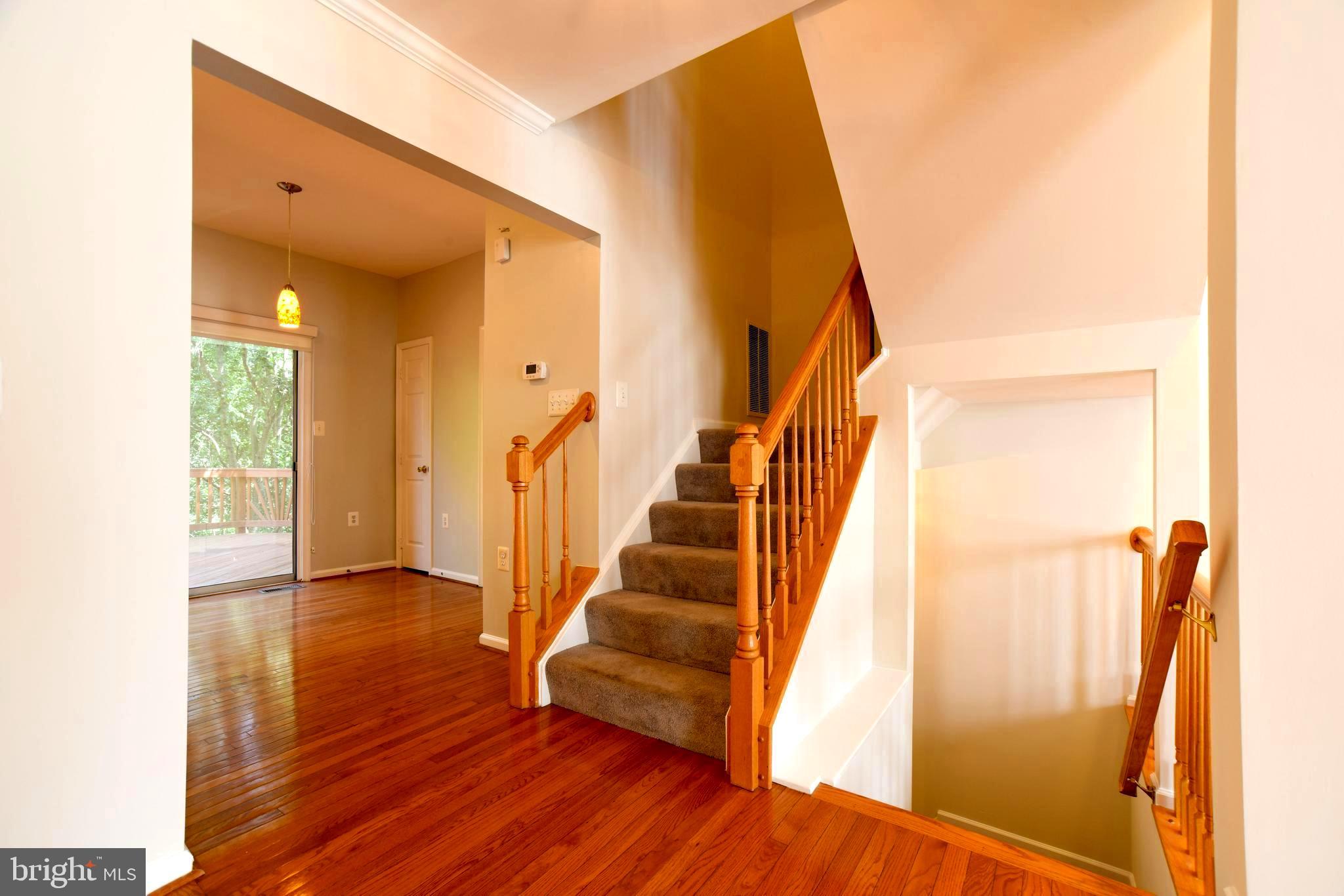 POTOMAC HUNT - Residential