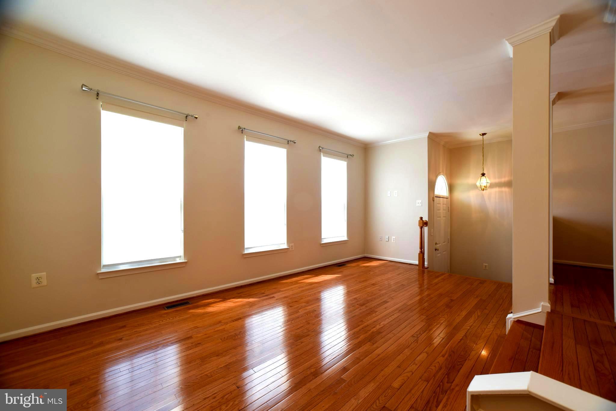 POTOMAC HUNT - Residential