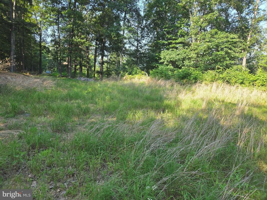 Don't miss this amazing opportunity to own 10 acres in Hedgesville!! This is two parcels of land being sold together, one sitting at 5.16 acres and the other at 5.36 acres.