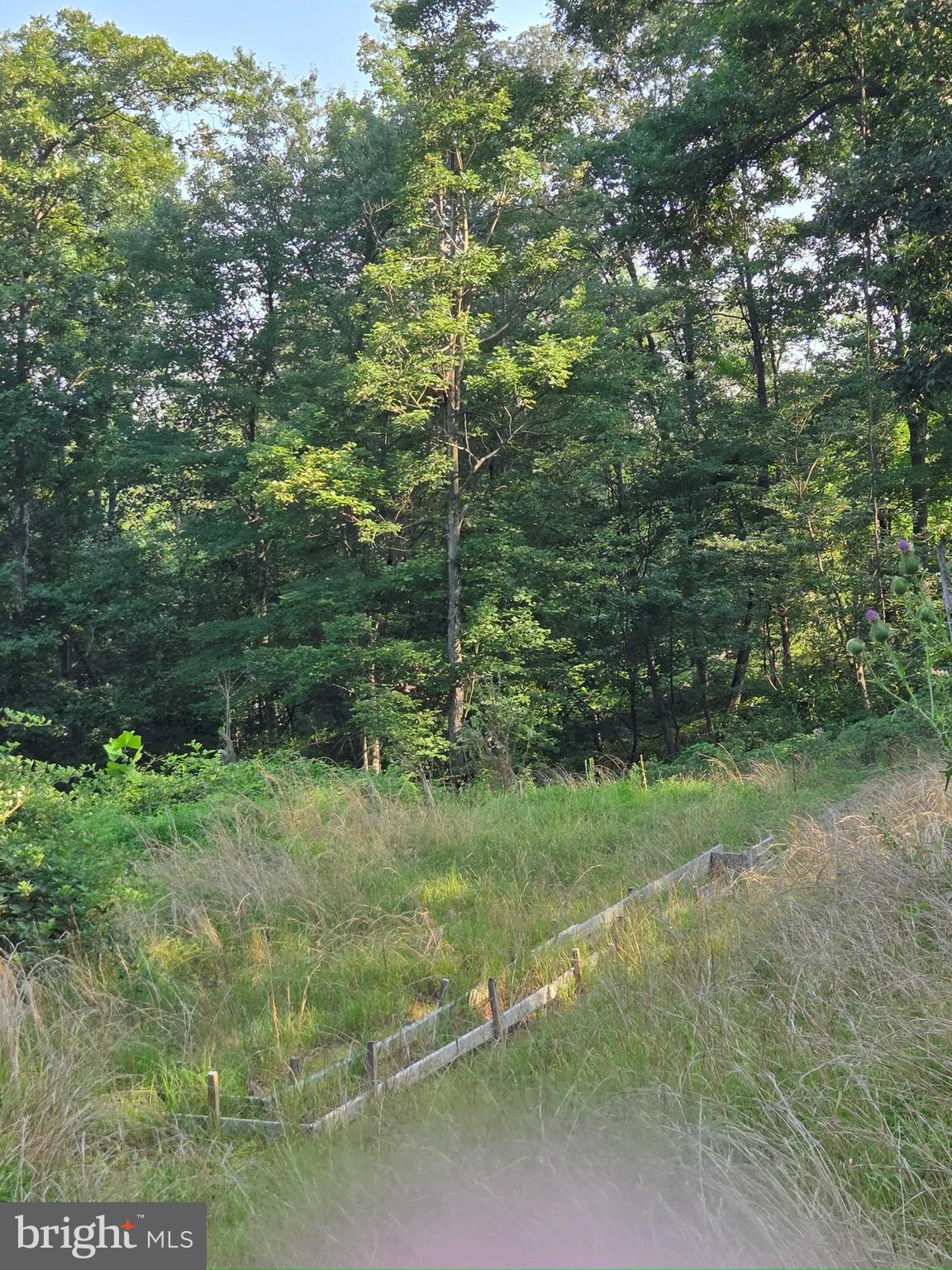 OAK GROVE SCHOOL RD