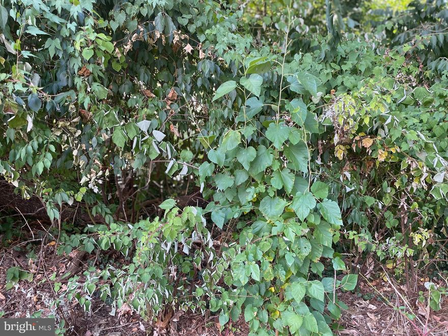 *****GAITHERSBURG,MONTGOMERY COUNTY,3.18 ACRES RESIDENTIAL  ZONING LAND*****
You could build your dream house in here,this land likes property boundary neighbour house leftside house
address is 21201 WOODFIELD ROAD,and to the Right until Small Creek there,.Residential area.
There need work for the some processing for buld house,But Really nice chance to built your dream,thanks.