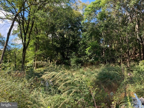 Vacant Land For Sale - Lake Street<br/> SCHUYLKILL HAVEN, PA 17972