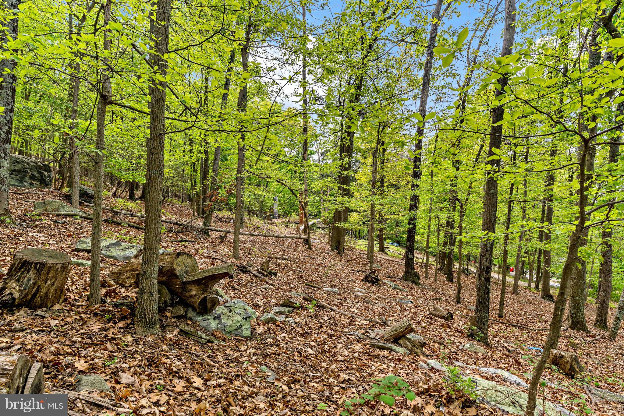 SHANNONDALE - Residential