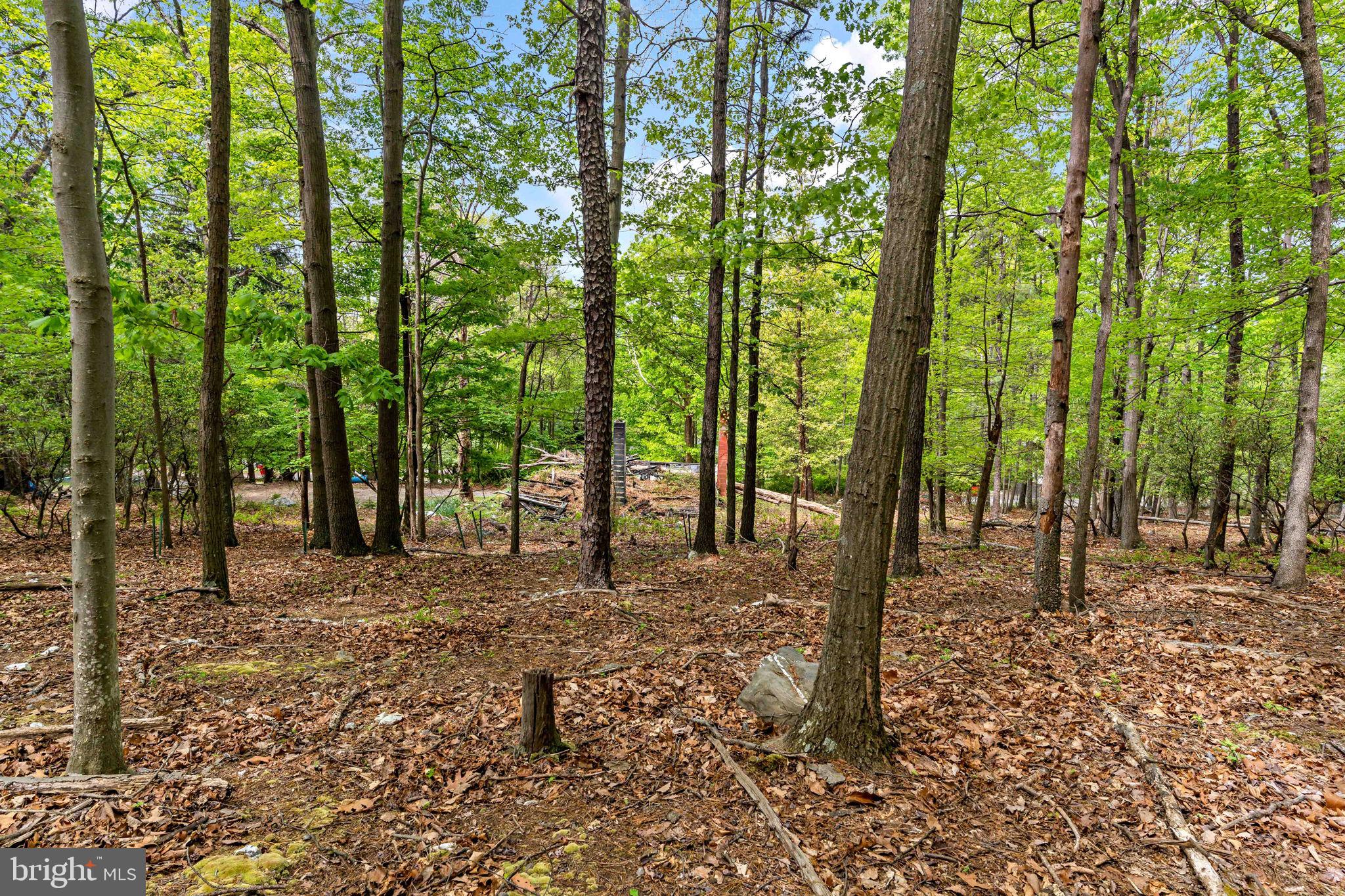 SHANNONDALE - Residential