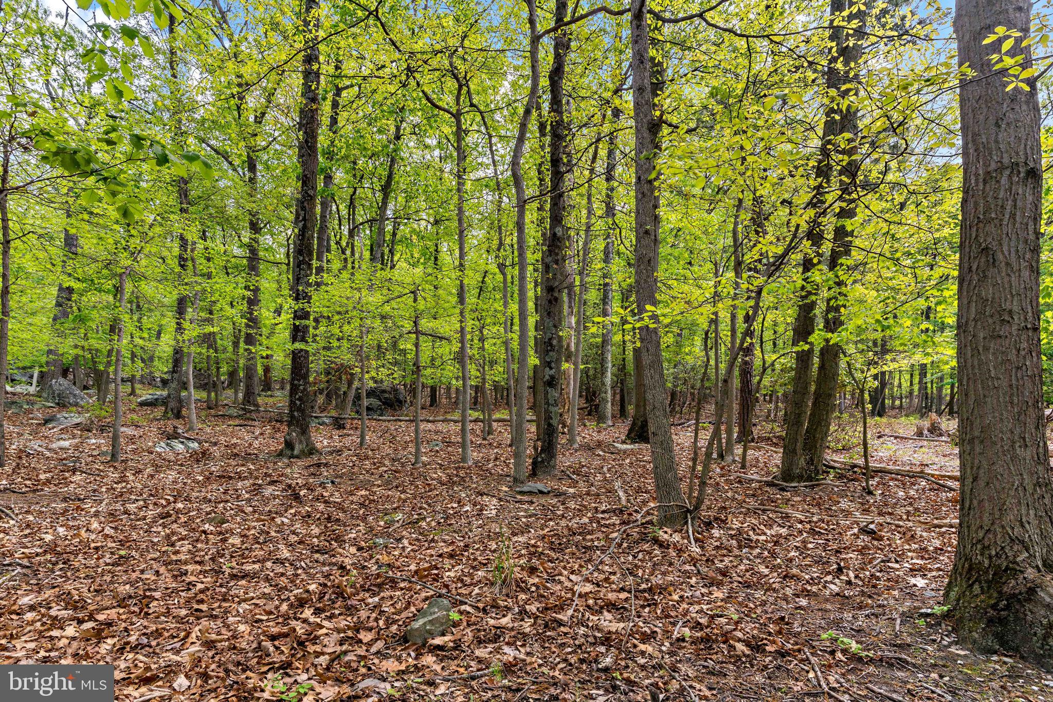 SHANNONDALE - Residential