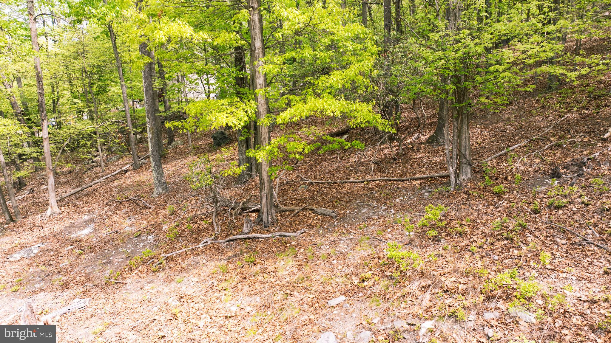 SHANNONDALE - Residential