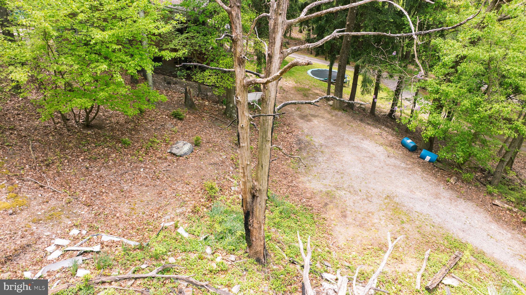 SHANNONDALE - Residential