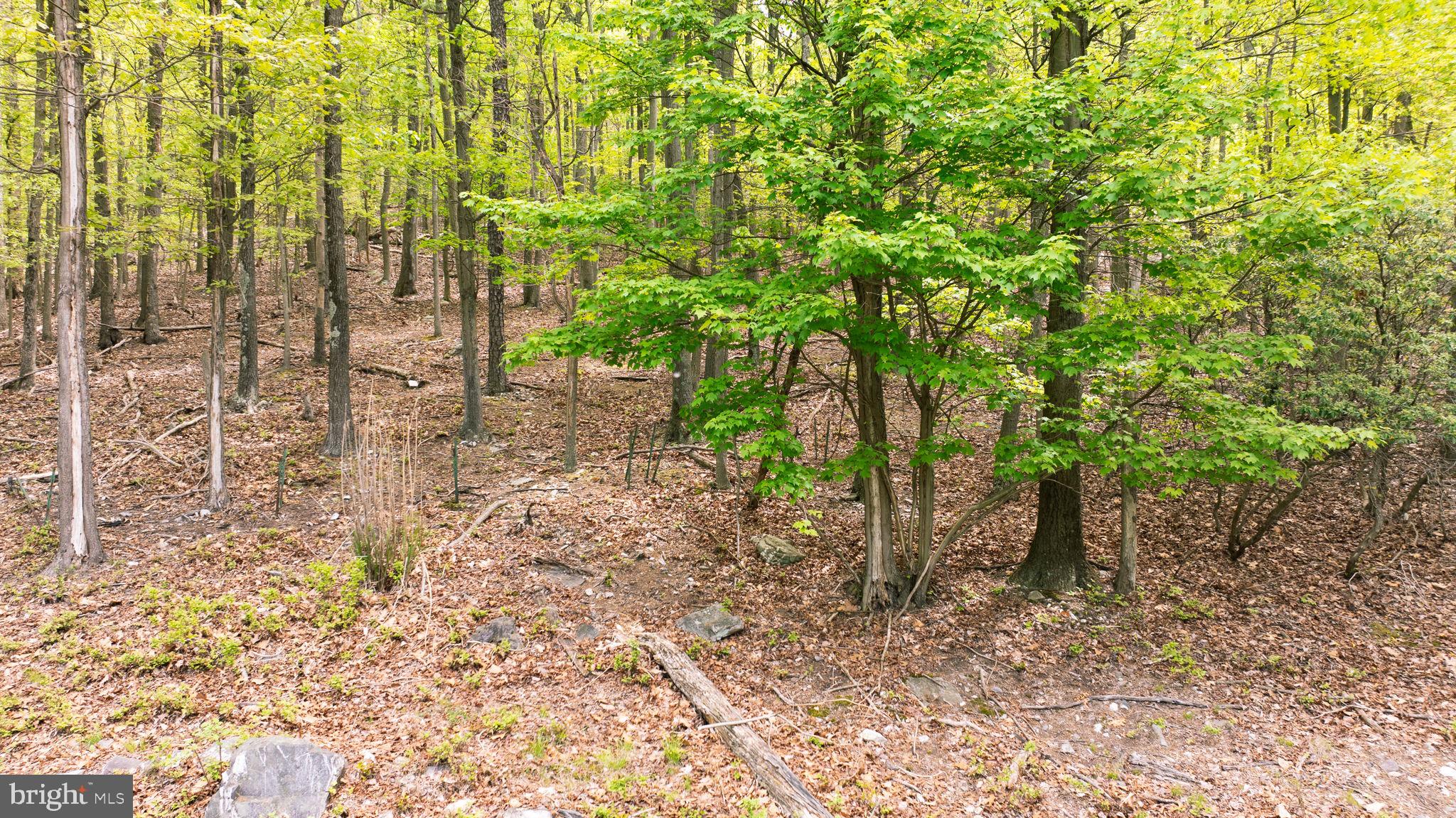 SHANNONDALE - Residential