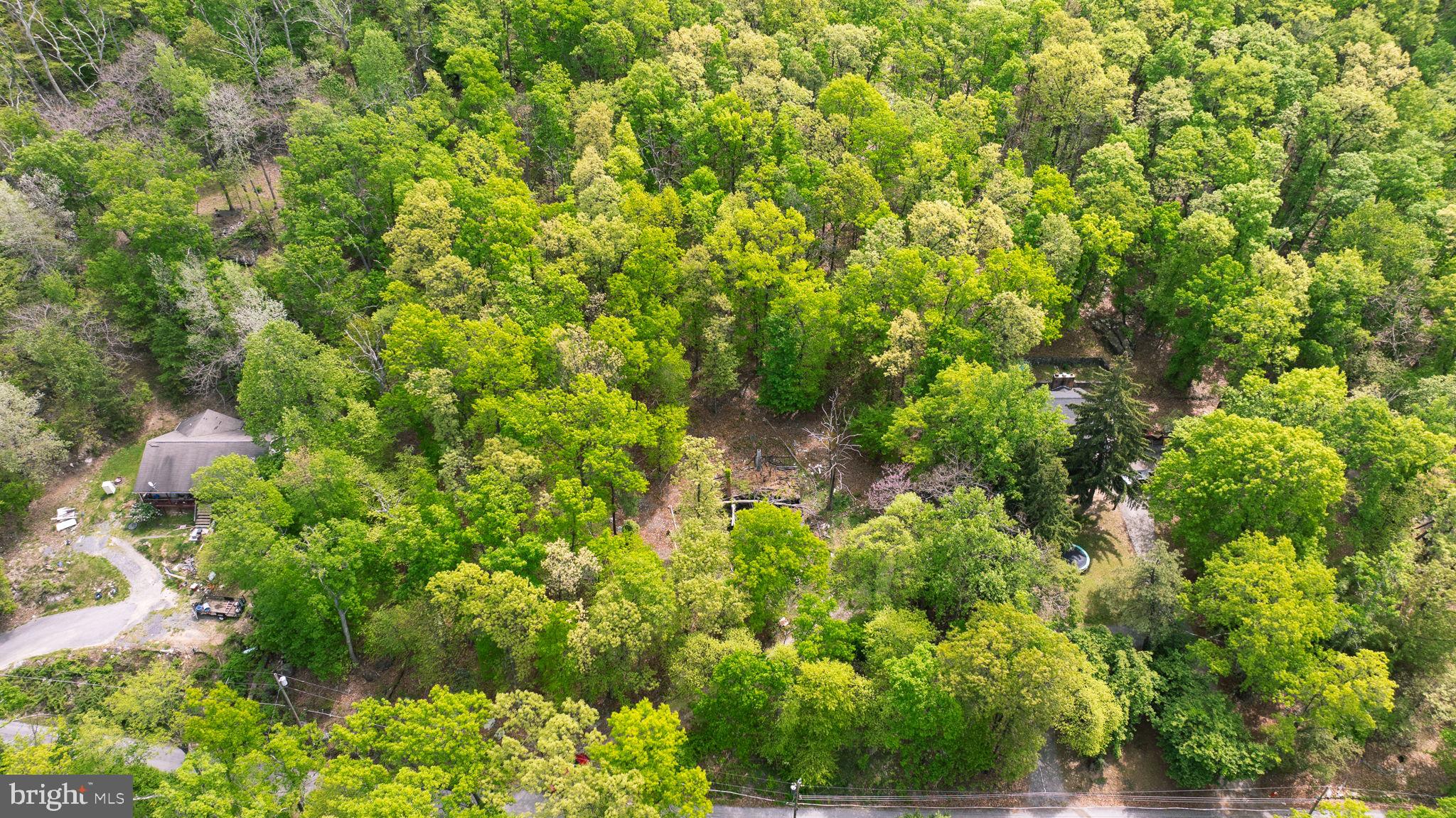 SHANNONDALE - Residential