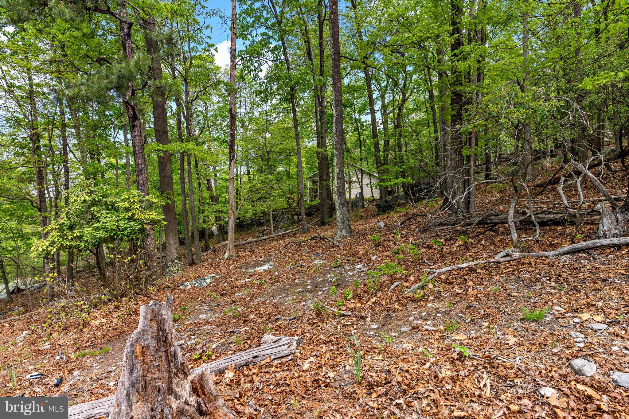 SHANNONDALE - Residential