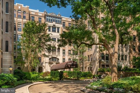 4700 CONNECTICUT AVENUE NW 206 WASHINGTON DC 20008