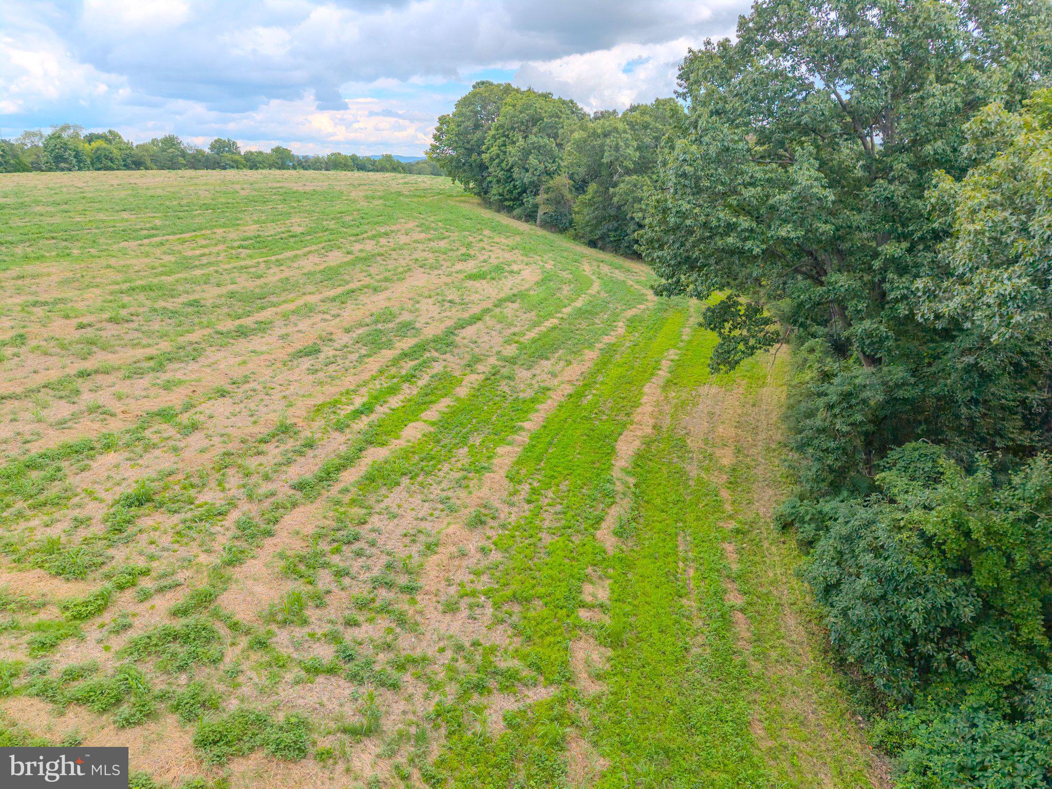 00 CARLS HILL ROAD PARCEL 5