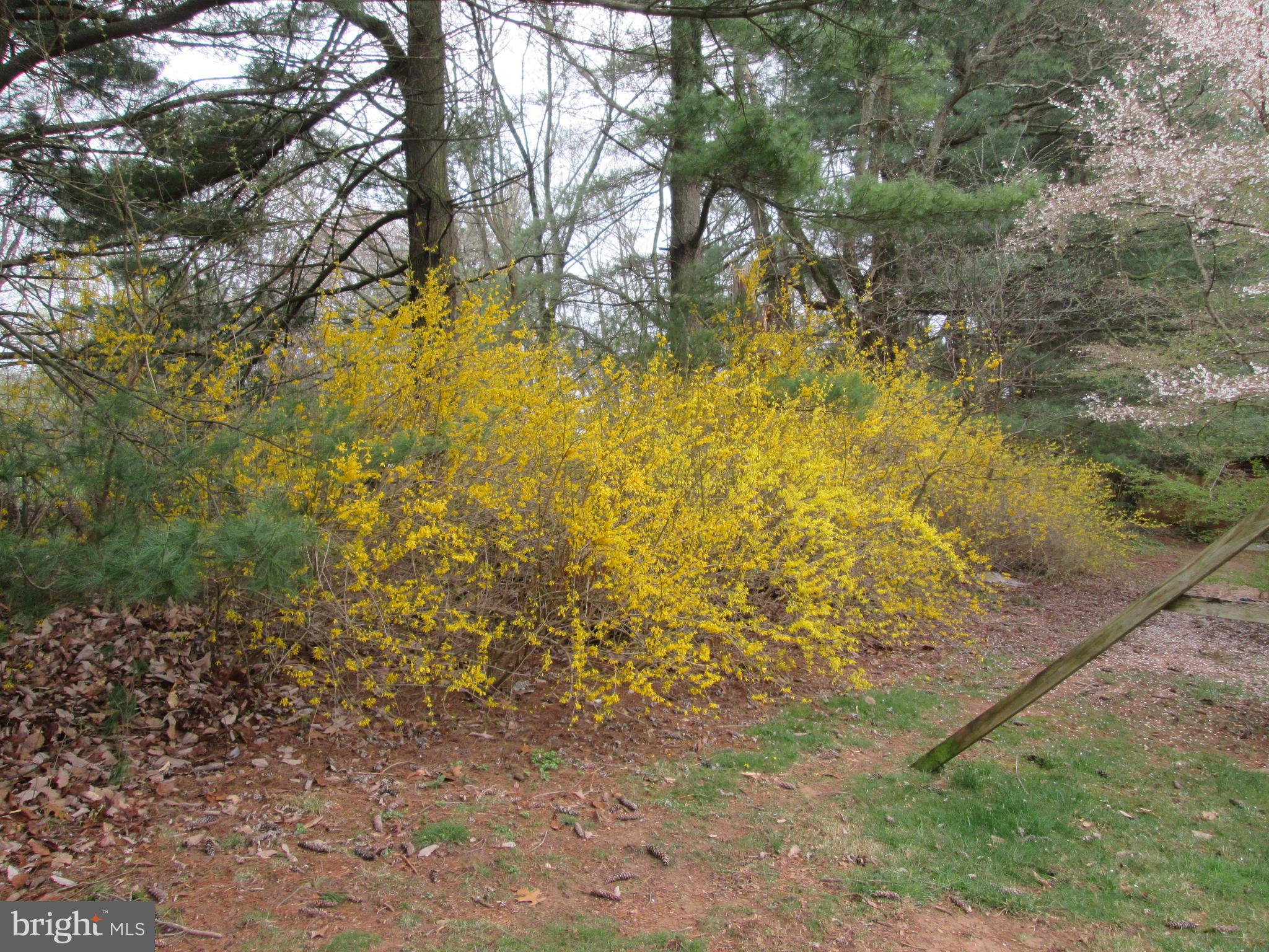 EVERGREEN HILLS - Residential