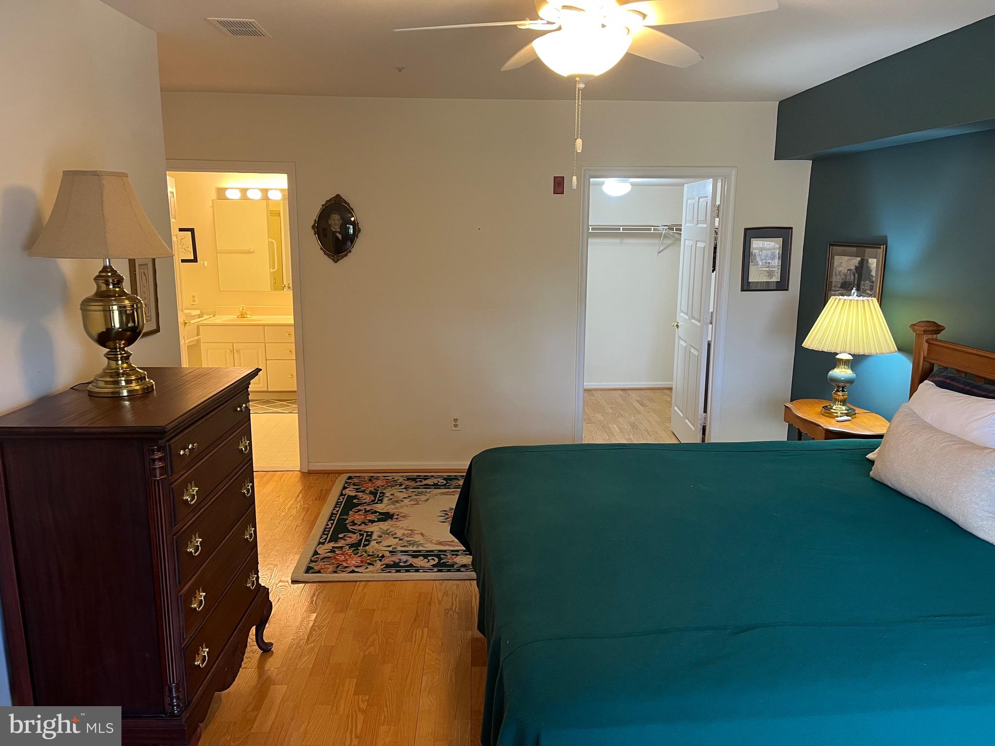 BELMONT FOREST - Residential