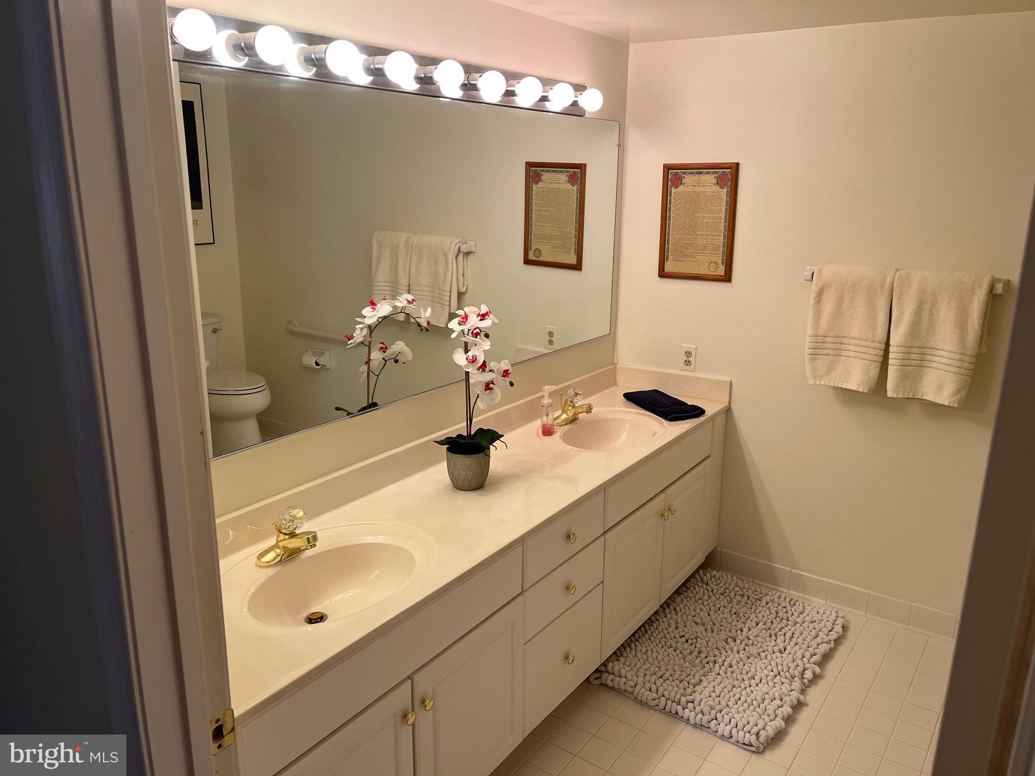 BELMONT FOREST - Residential