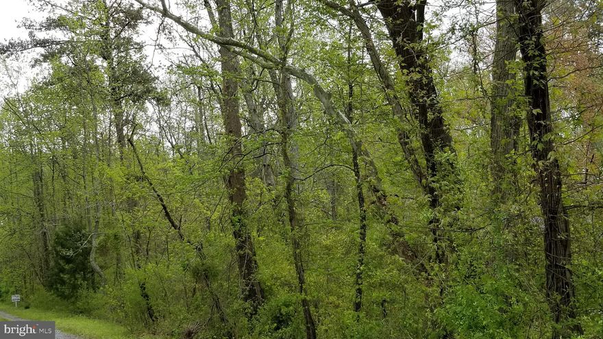 Third Lot on the Right on Alison Circle off Dockser Dr.  .35 acre that is treed and partial marsh.  Room for Boat parking and other storage, a few blocks from the water. $39/year for the HOA and unlimited access to the water, boat launch and beach for Life!  Lot is likely unbuildable, due to tidal marsh nearby, but will grant you lifelong water privileges, memories and a place to keep you water toys, blocks from the water! Electricity Hookup is Available.