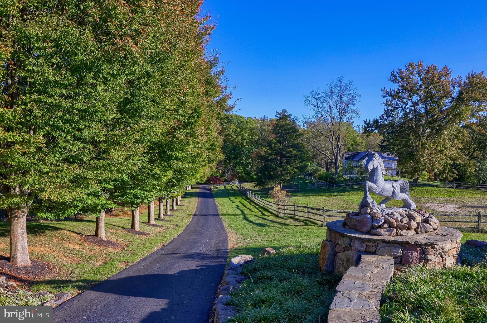 WILLOW SPRINGS - Residential