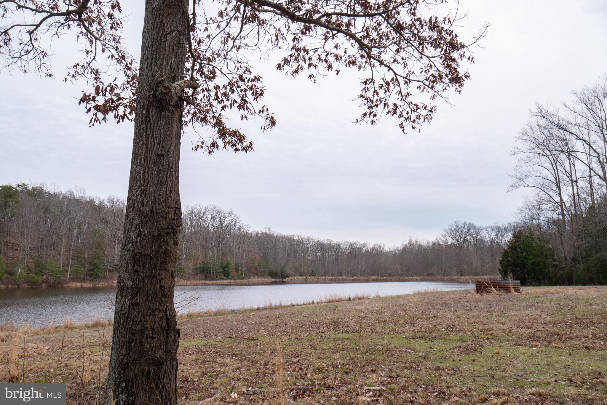 BRIDLE LAKE ESTATES - Land