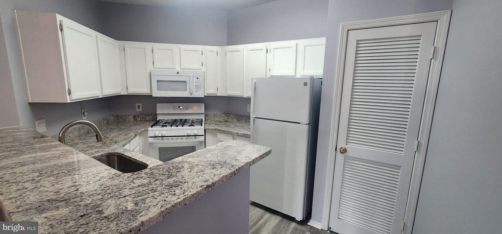 Photo of 4417 Fair Stone Drive #303, FAIRFAX, VA 22033 (MLS # VAFX2306398)