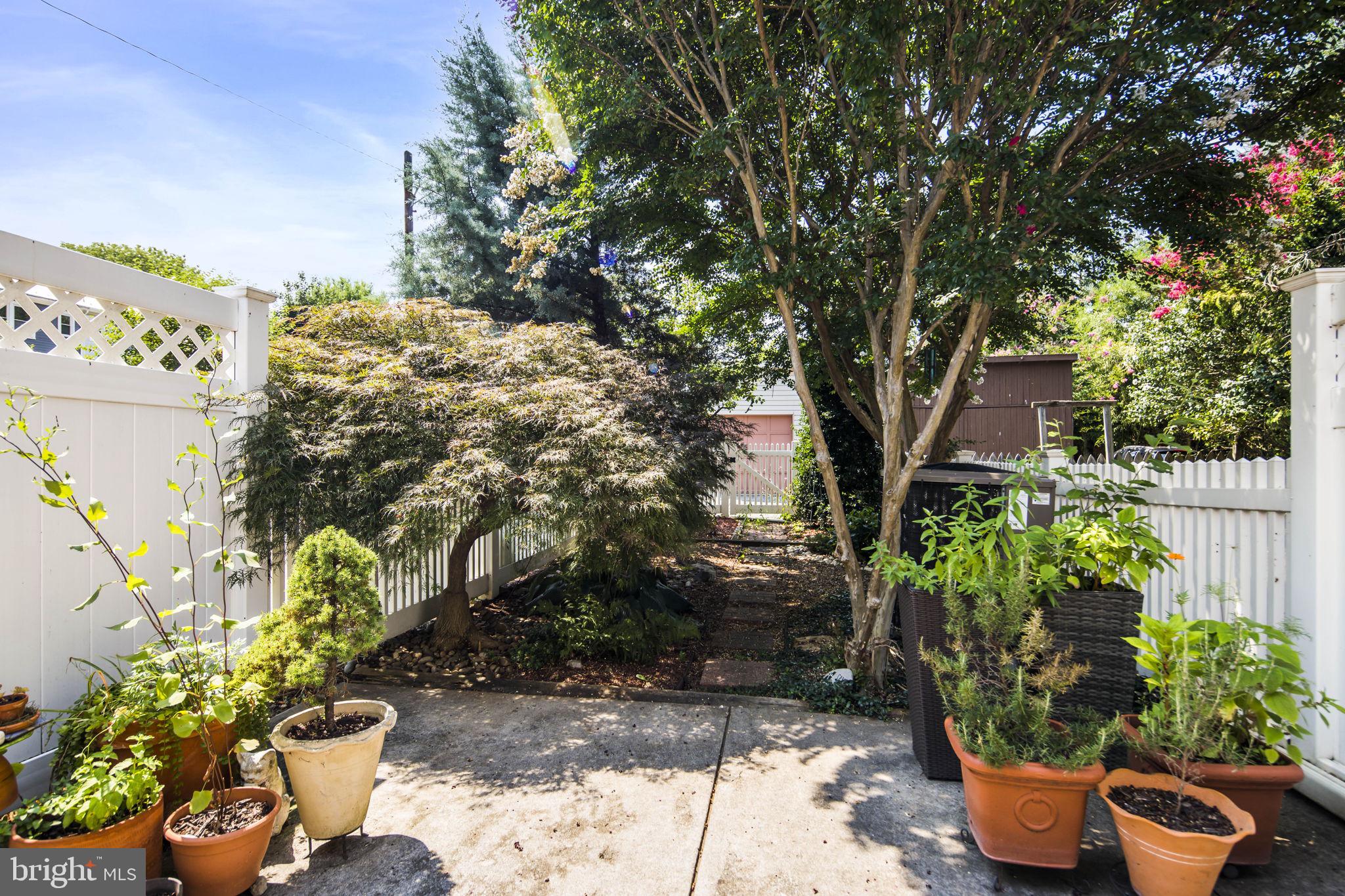 DOWNTOWN FREDERICK - Residential Lease