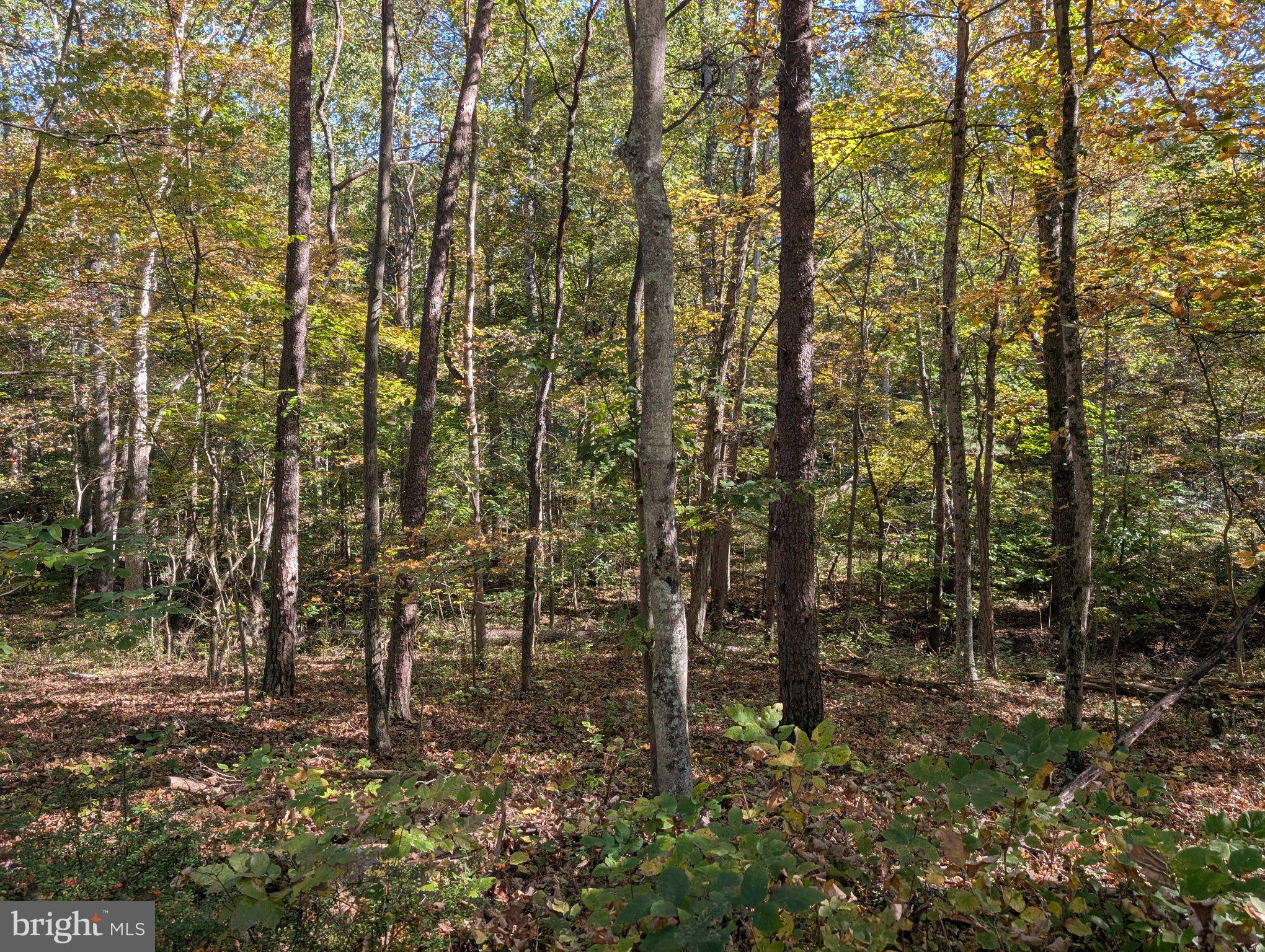 GRASSHOPPER HOLLOW/SIR JOHN'S RUN P/O PAR 32