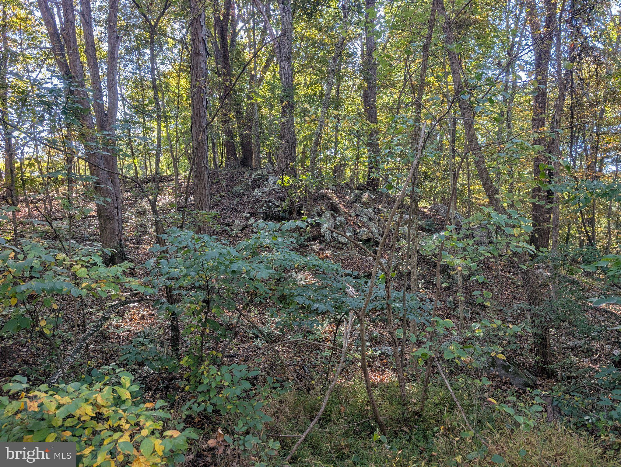 GRASSHOPPER HOLLOW/SIR JOHN'S RUN P/O PAR 32