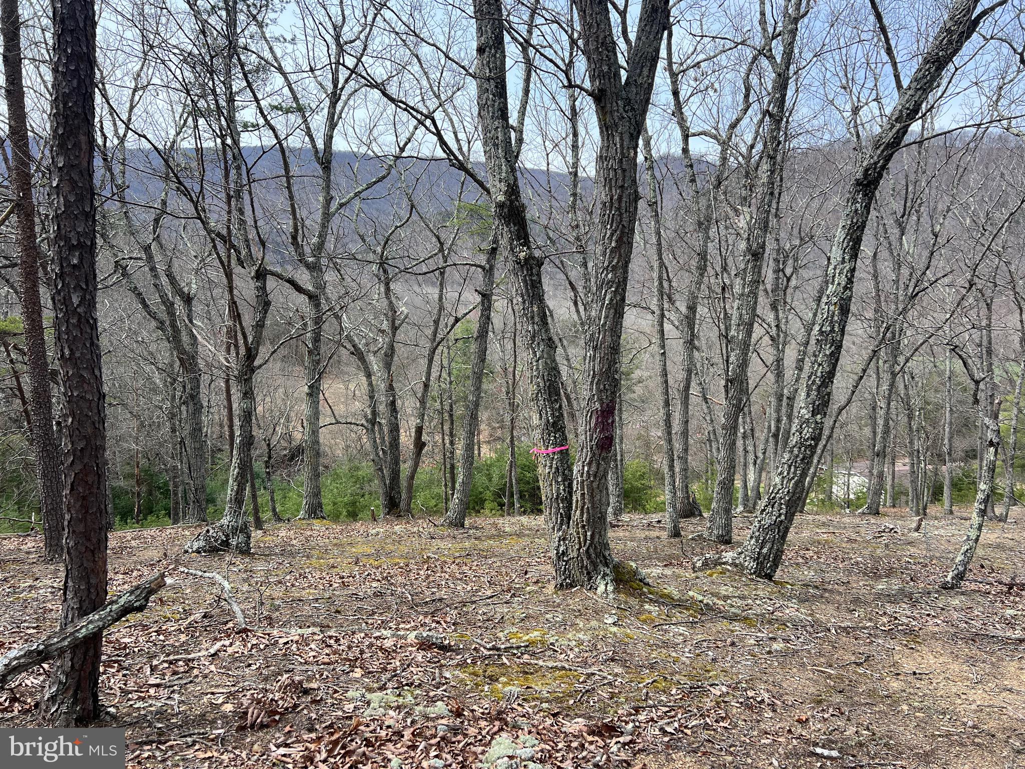 TWIN RIVER - Residential