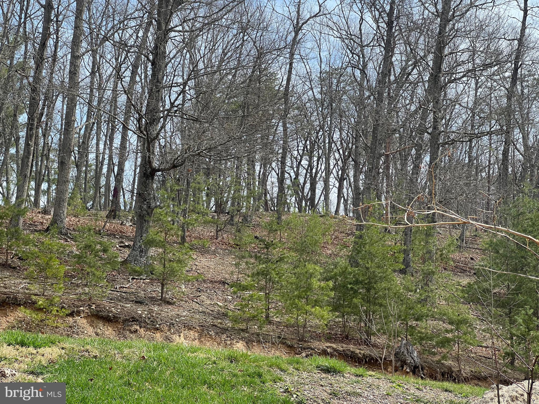 TWIN RIVER - Residential