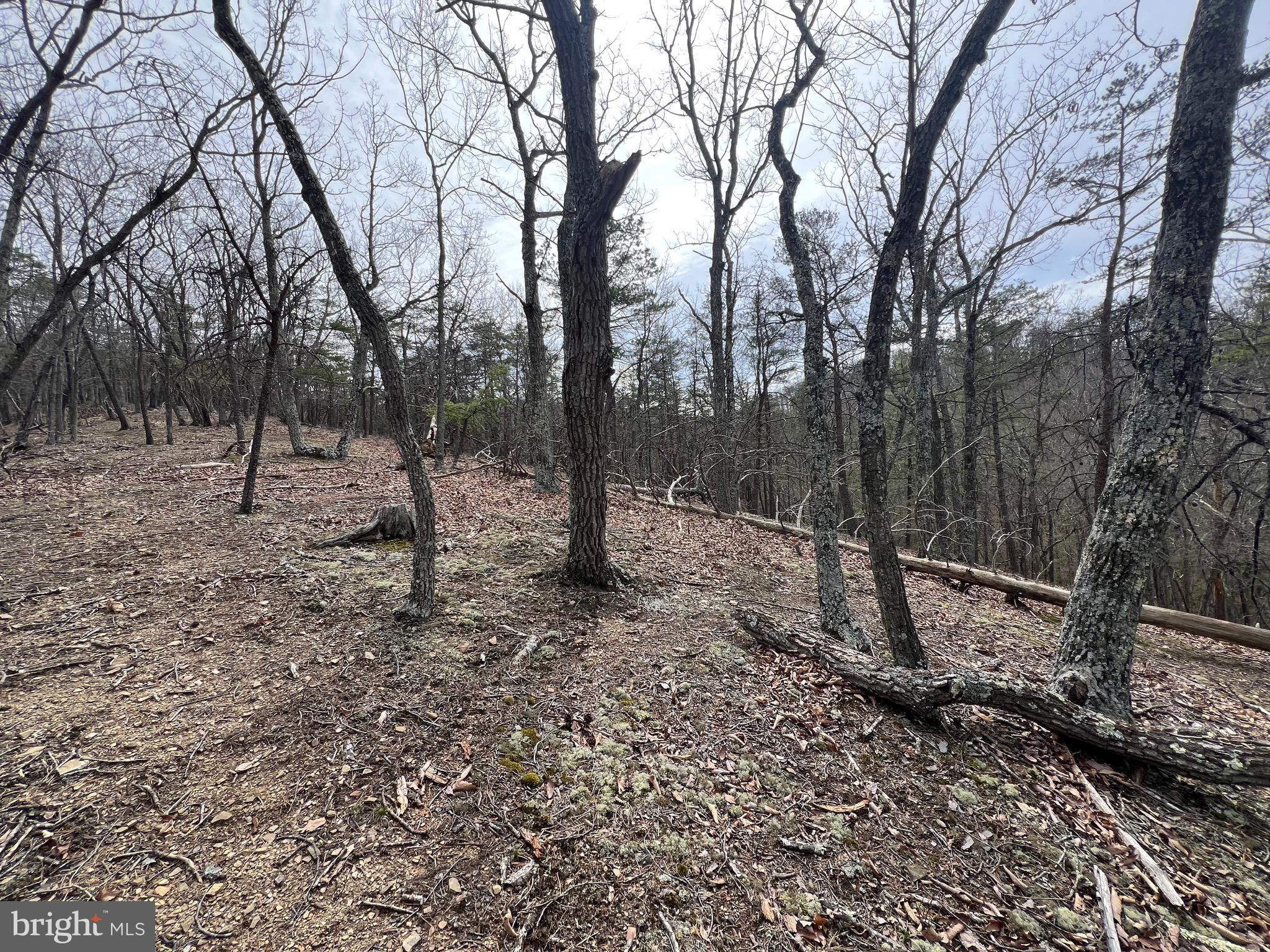 TWIN RIVER - Residential