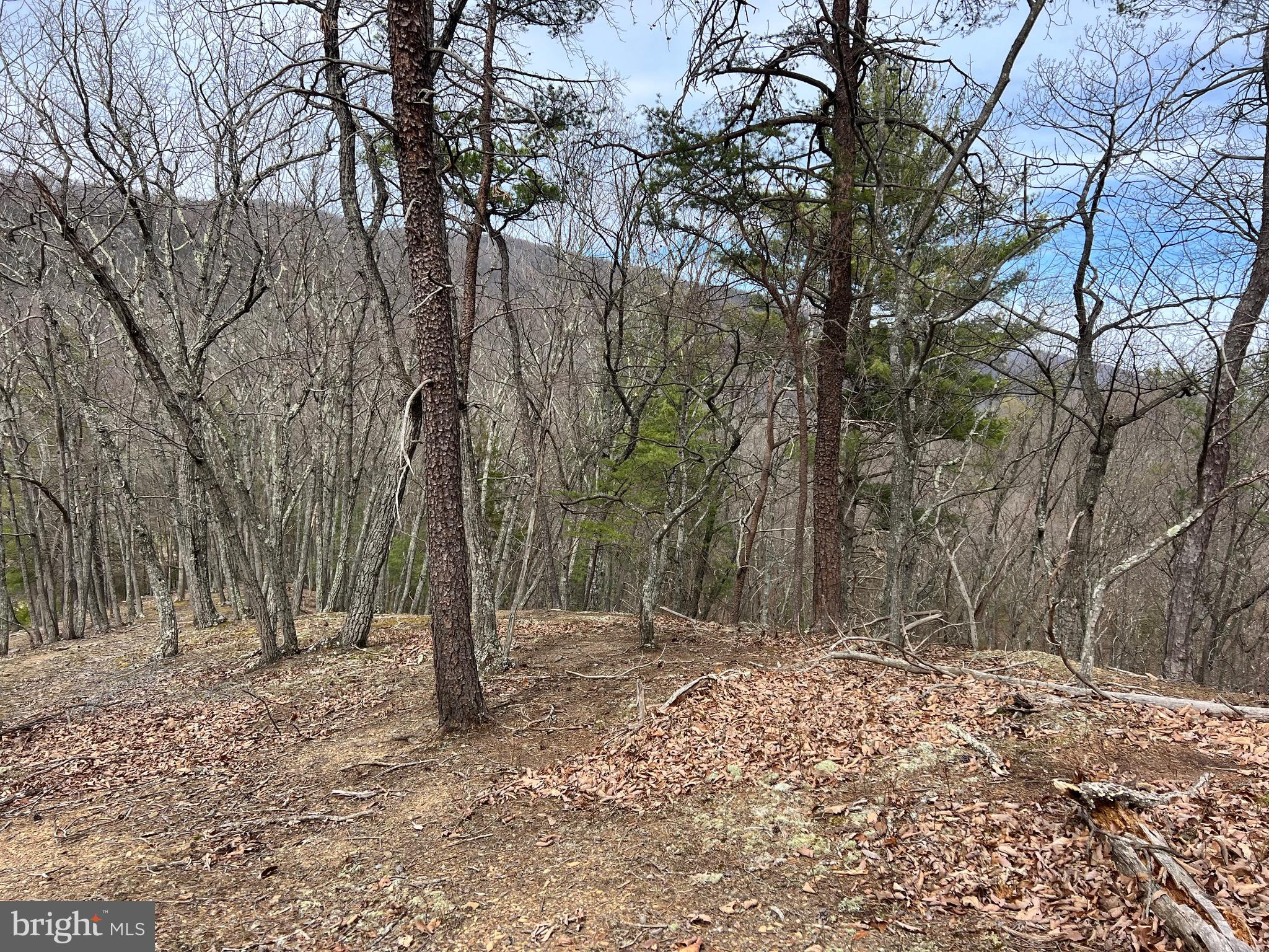 TWIN RIVER - Residential