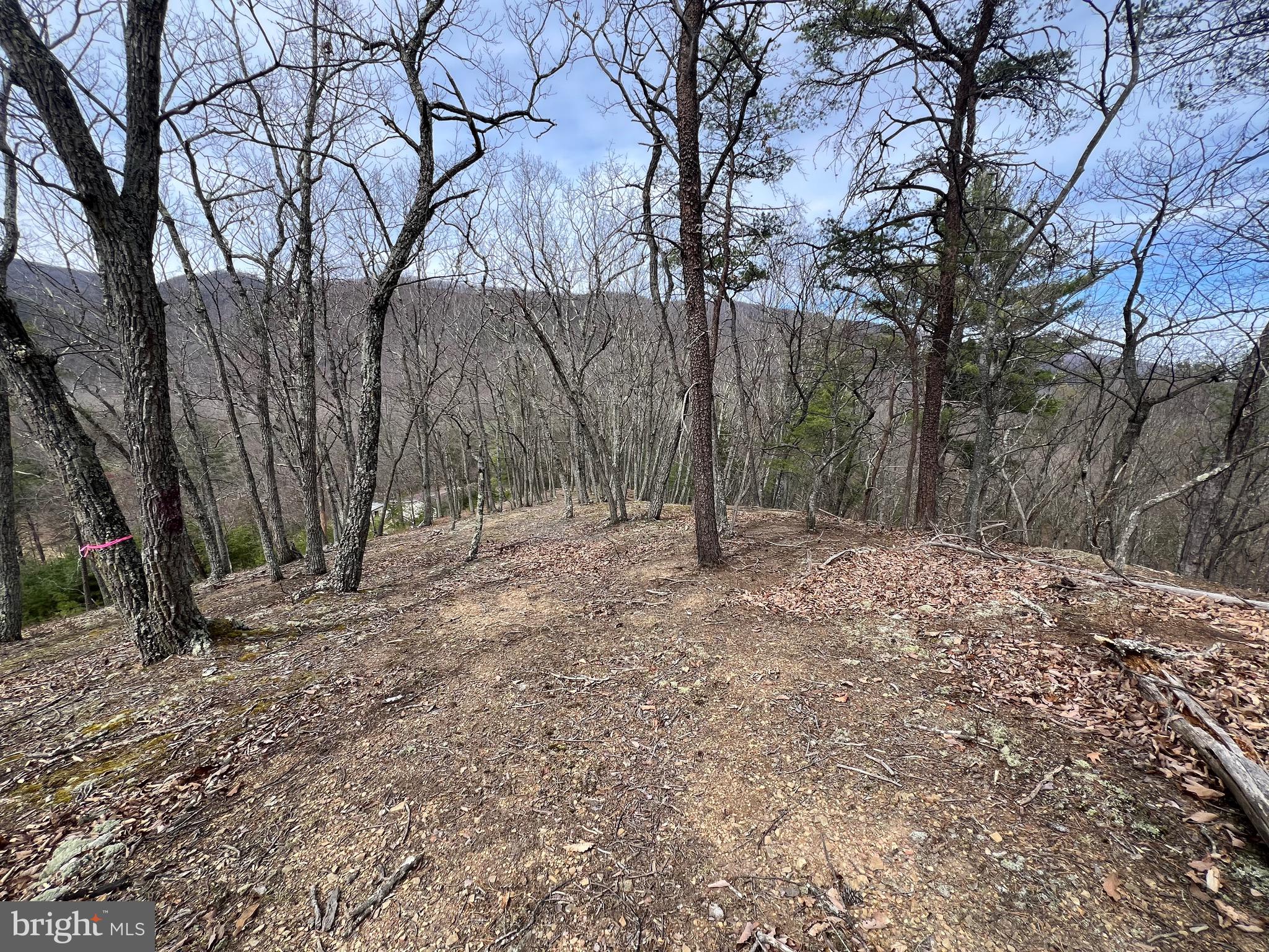 TWIN RIVER - Residential