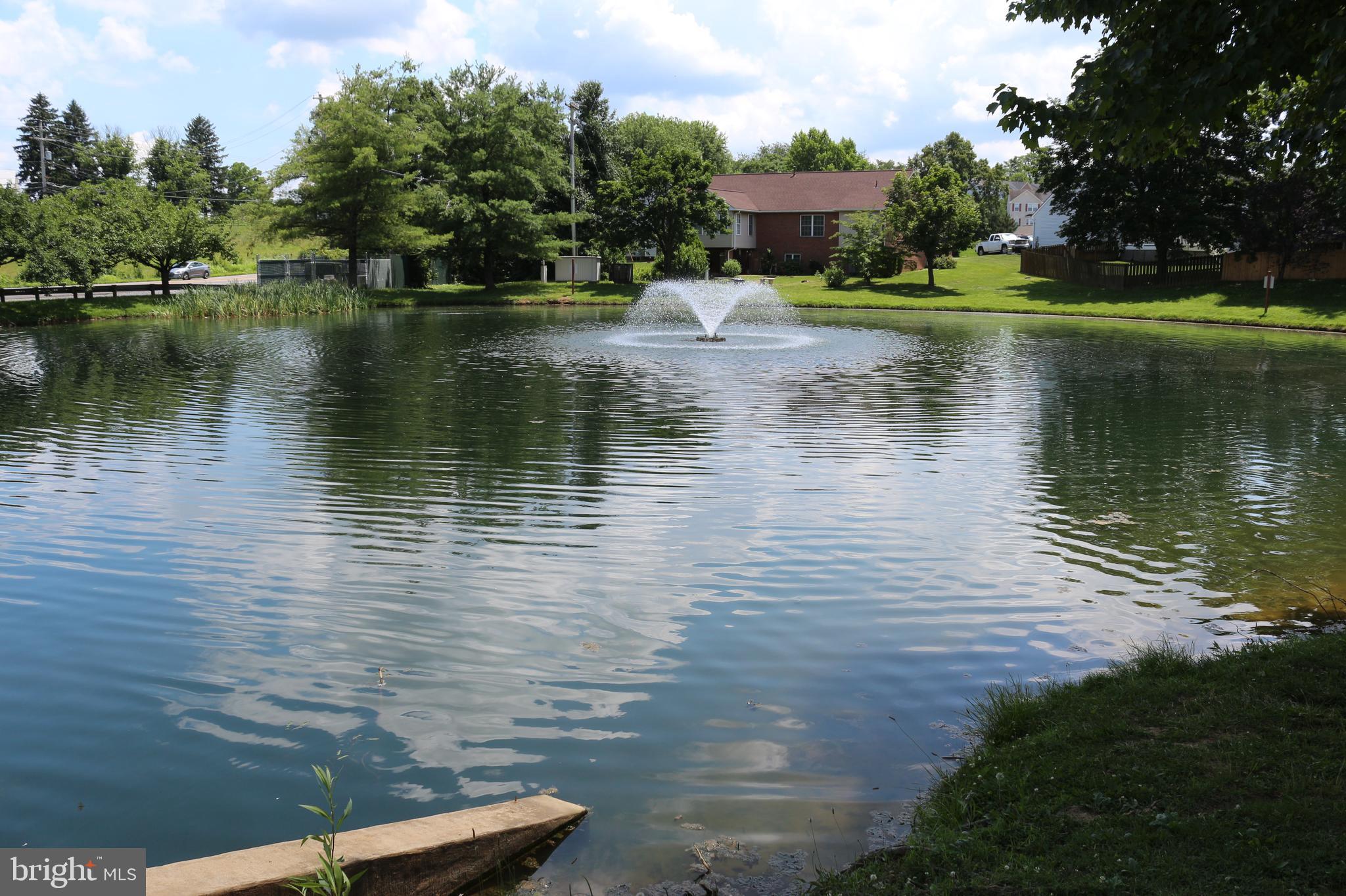 104 QUINCE TREE DRIVE