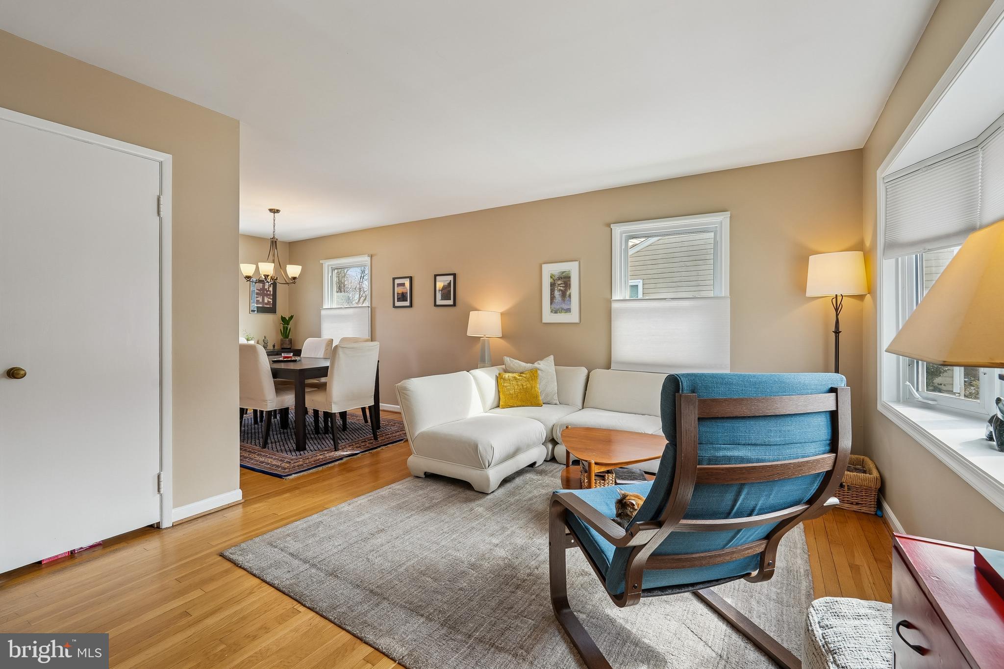 GEORGETOWN VILLAGE - Residential