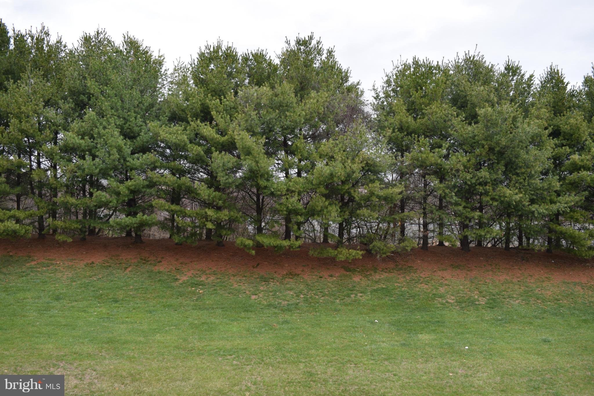 VILLAGE OF MONTGOMERY RUN - Residential Lease