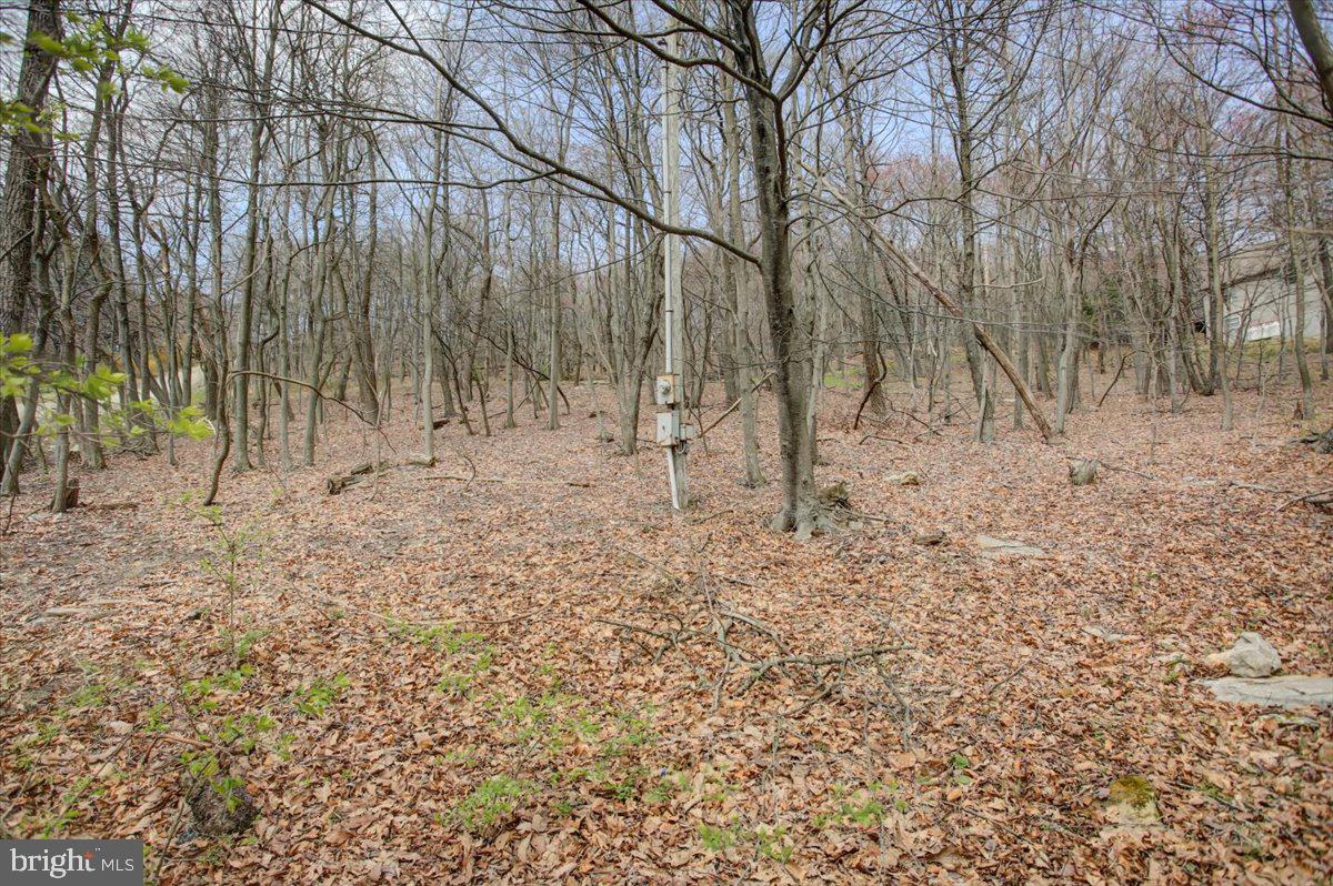 TUSCARORA HEIGHTS - Residential