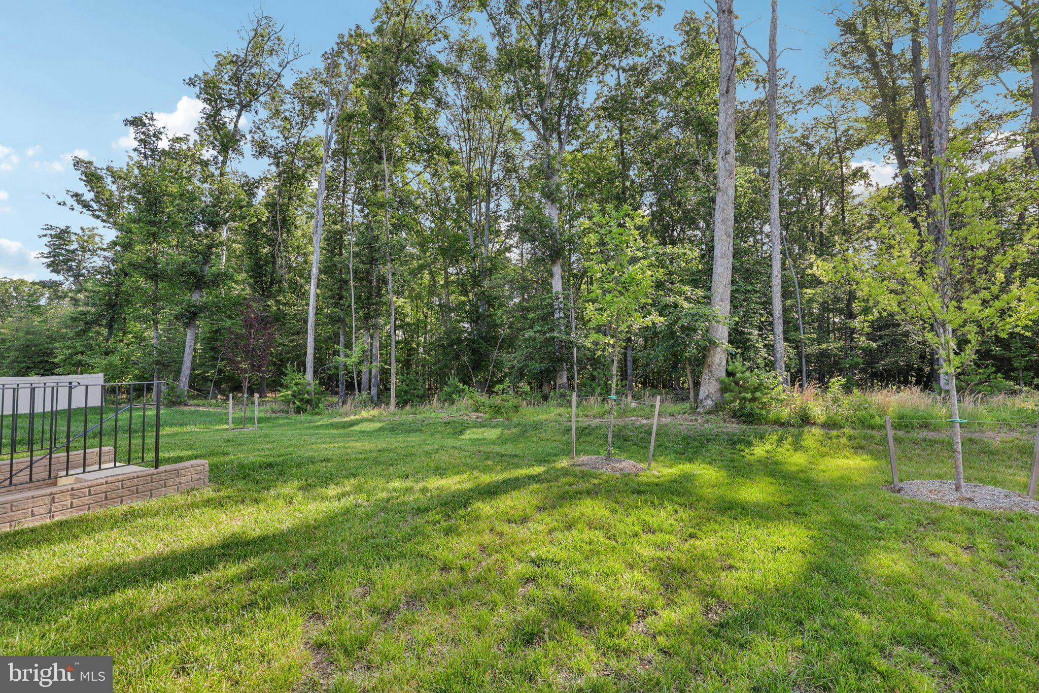 TIMOTHY BRANCH SINGLES - Residential