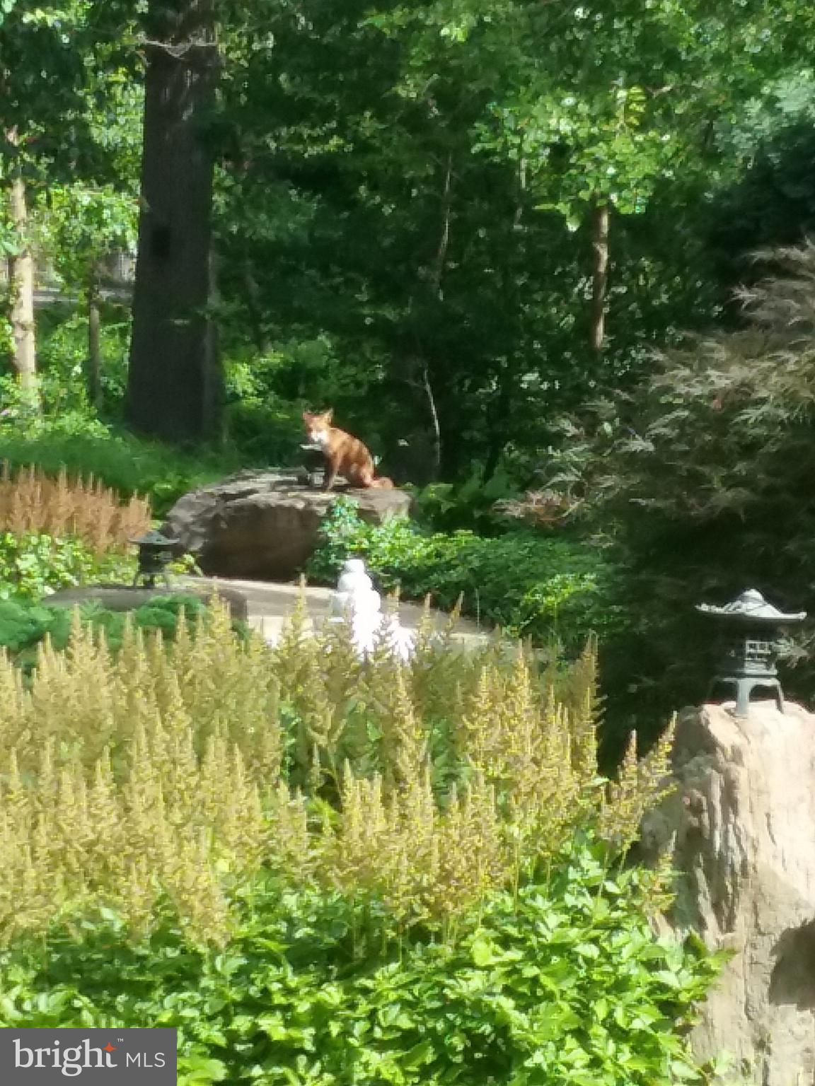 WEST SEVERNA PARK - Residential