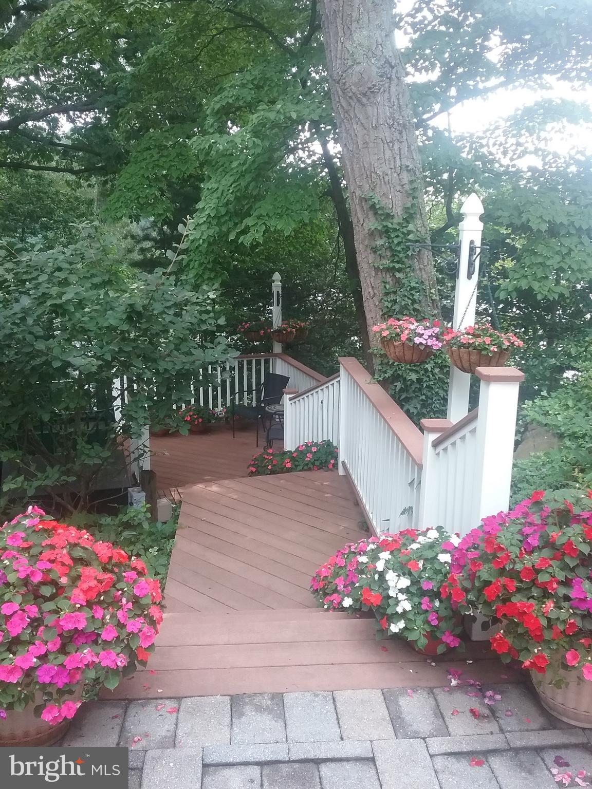 WEST SEVERNA PARK - Residential