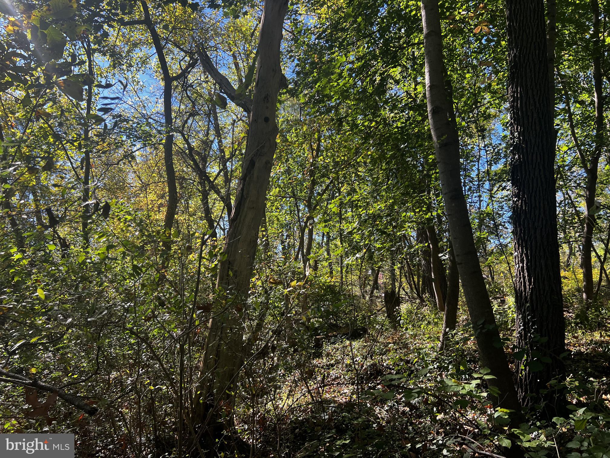 418 MOUNTAIN ROAD