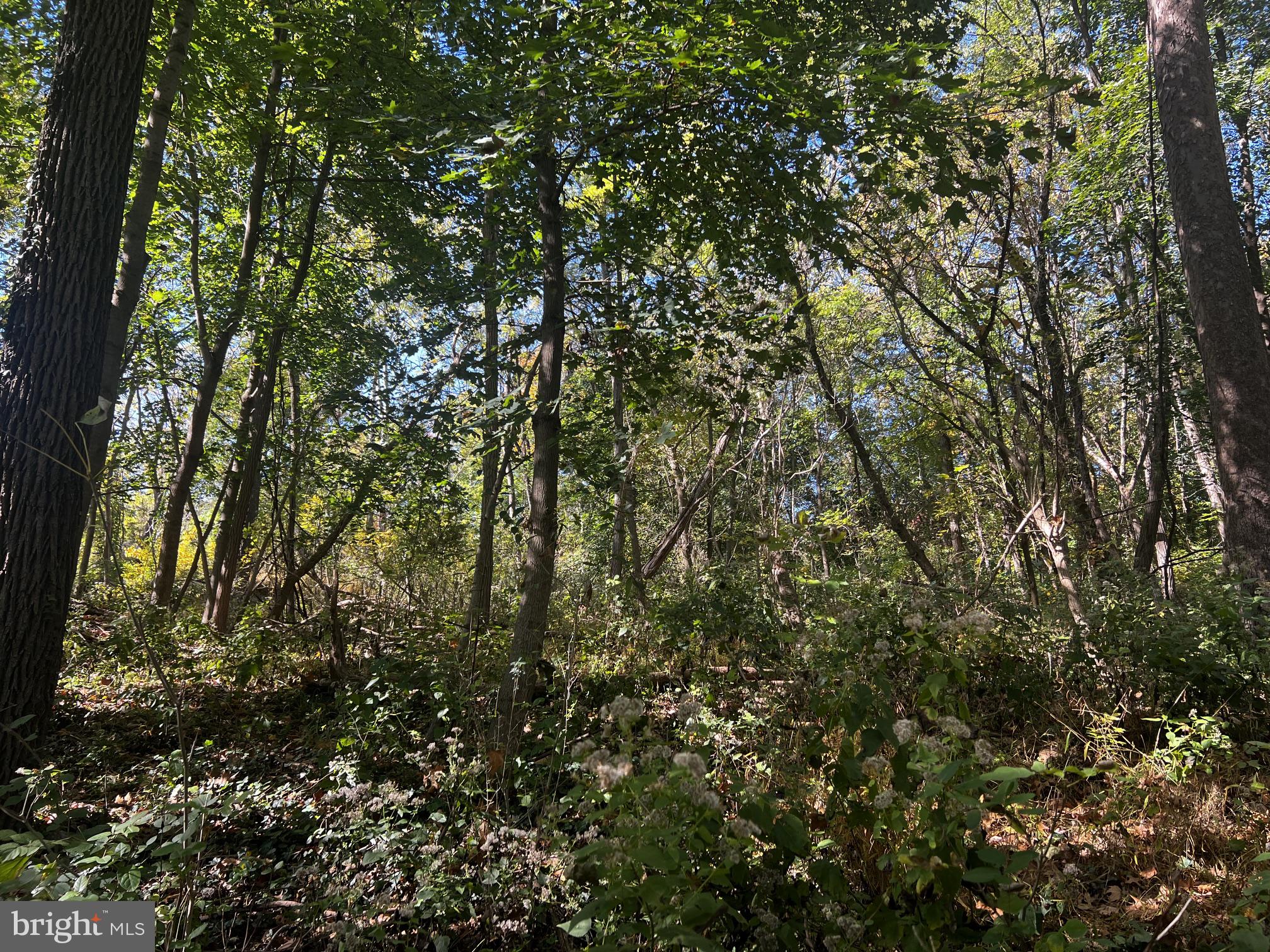 418 MOUNTAIN ROAD