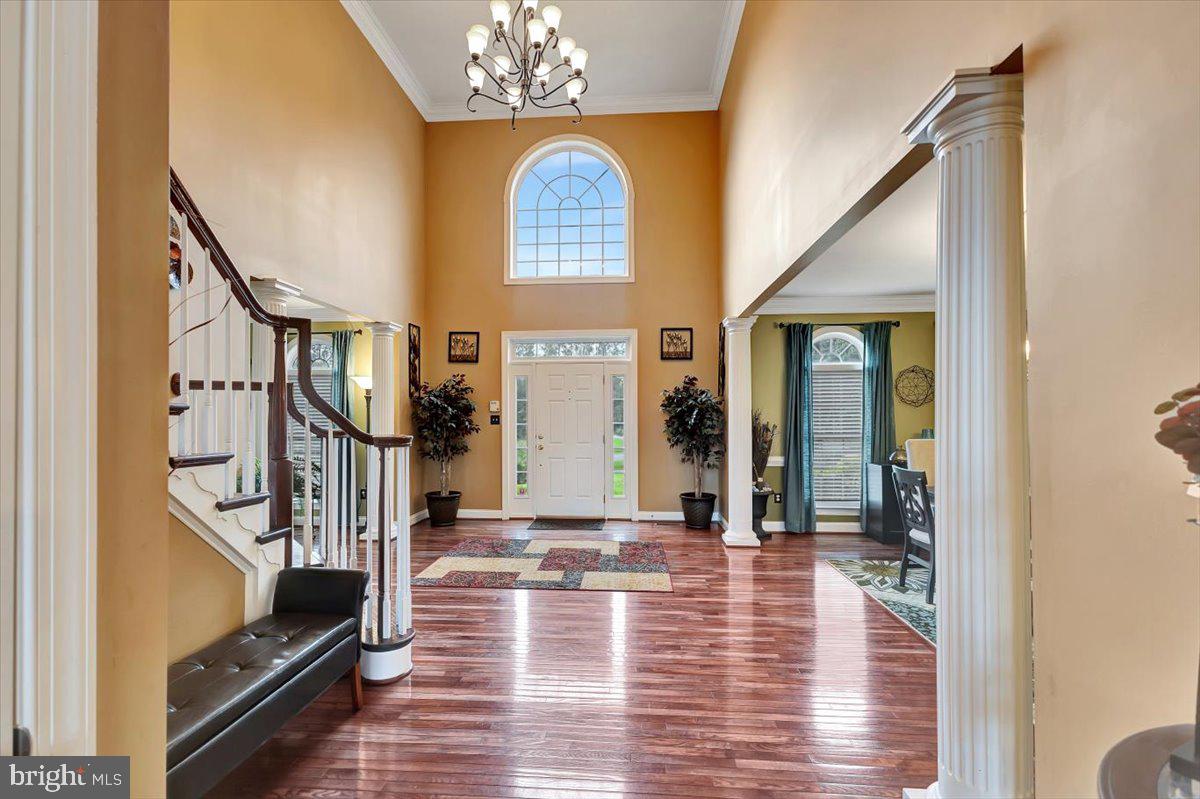 DENIT ESTATES - Residential