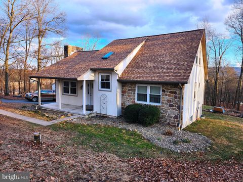 25 BASIN HILL ROAD DUNCANNON PA 17020