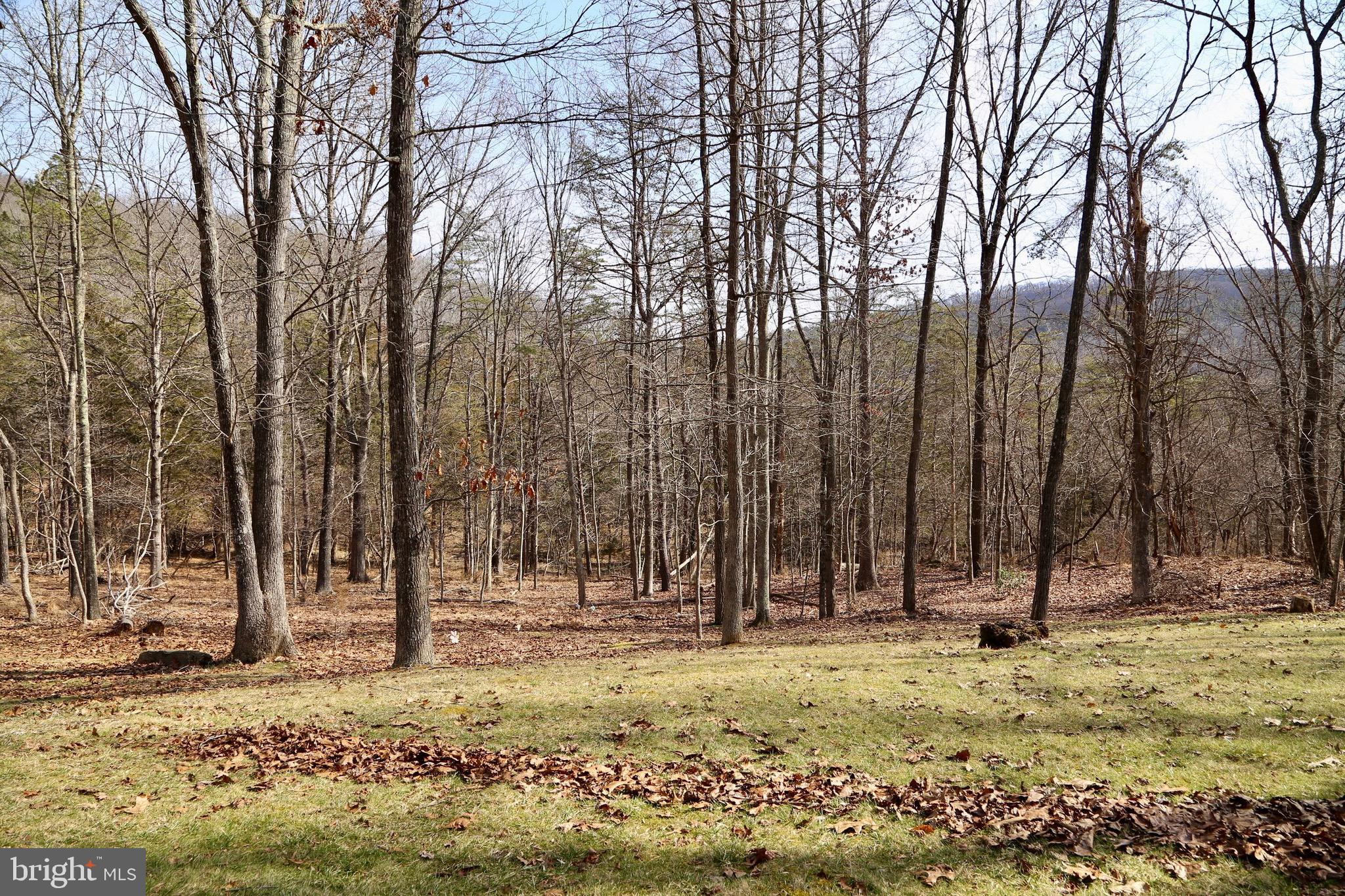 TROUT POND PROPERTY OWNERS ASSOCIATION - Residential