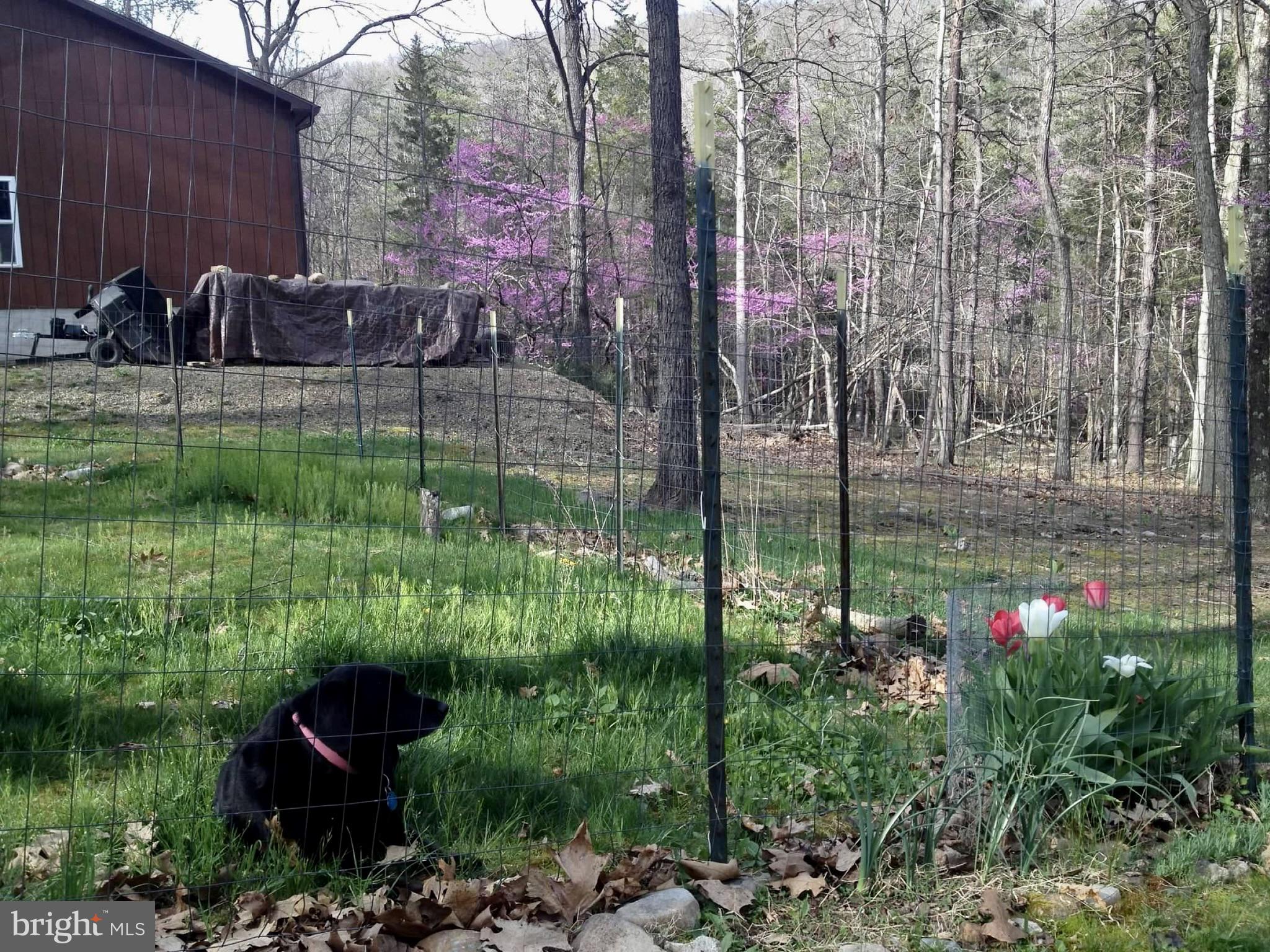 TROUT POND PROPERTY OWNERS ASSOCIATION - Residential