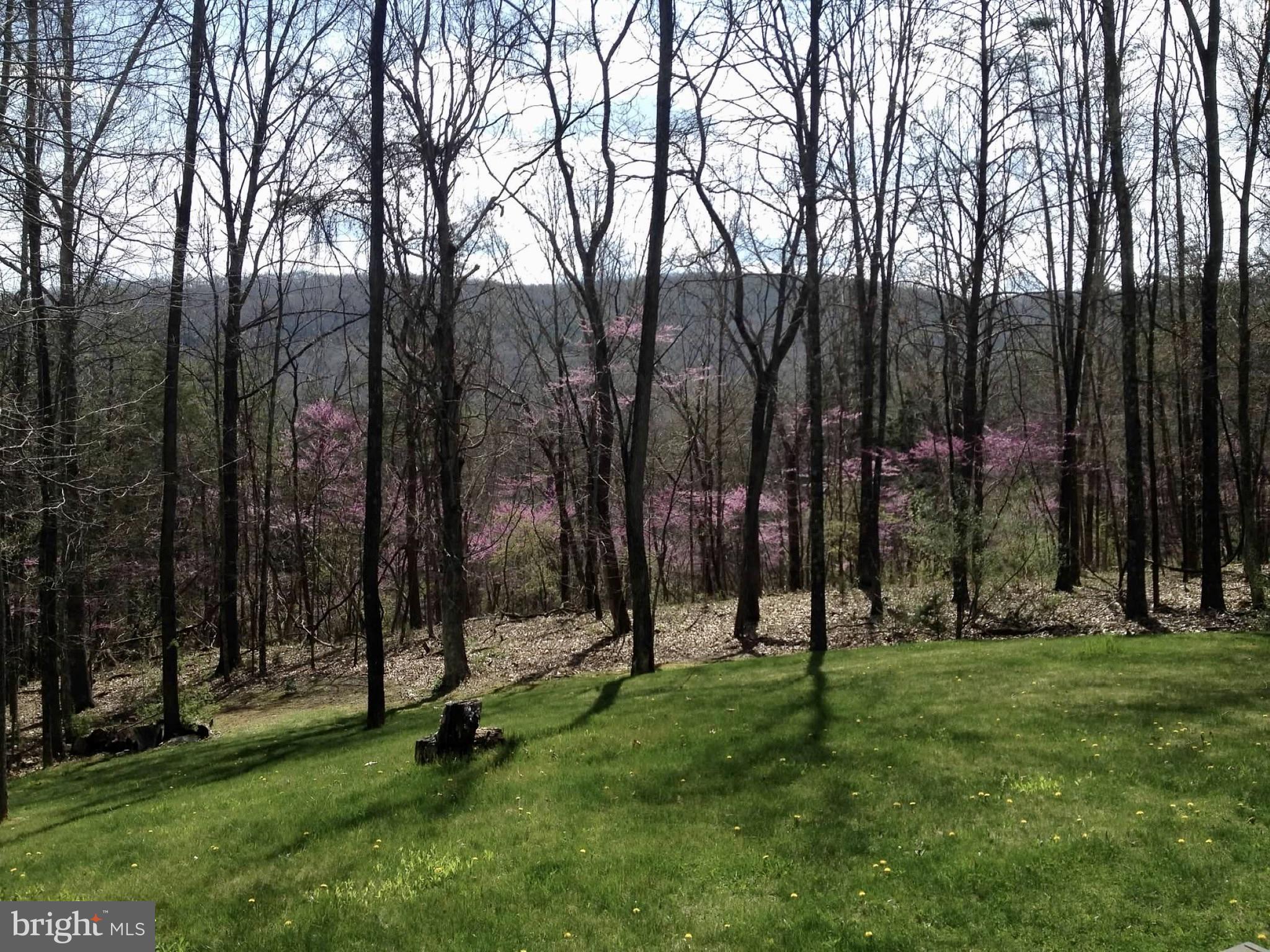 TROUT POND PROPERTY OWNERS ASSOCIATION - Residential