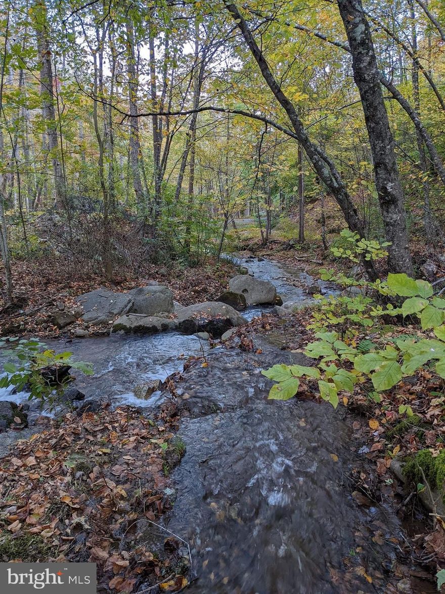 Beautiful 5 acre parcel in Nelson County offering a peaceful rural setting with Davis Creek flowing through the property. This mostly wooded tract provides a great opportunity to build your dream home, weekend retreat, or private getaway. The property features road frontage and easy access, while still offering privacy and natural surroundings.
Enjoy the sights and sounds of flowing water and abundant wildlife, with plenty of space for outdoor recreation, gardening, or simply relaxing in nature. Located just minutes from Lovingston and US29, providing convenient access to local shops, wineries, breweries, and the Blue Ridge Mountains.
A rare chance to own a scenic acreage with a creek in beautiful Nelson County.  This listing is for 5 acres ONLY and not sold for what it states back in 2022.
