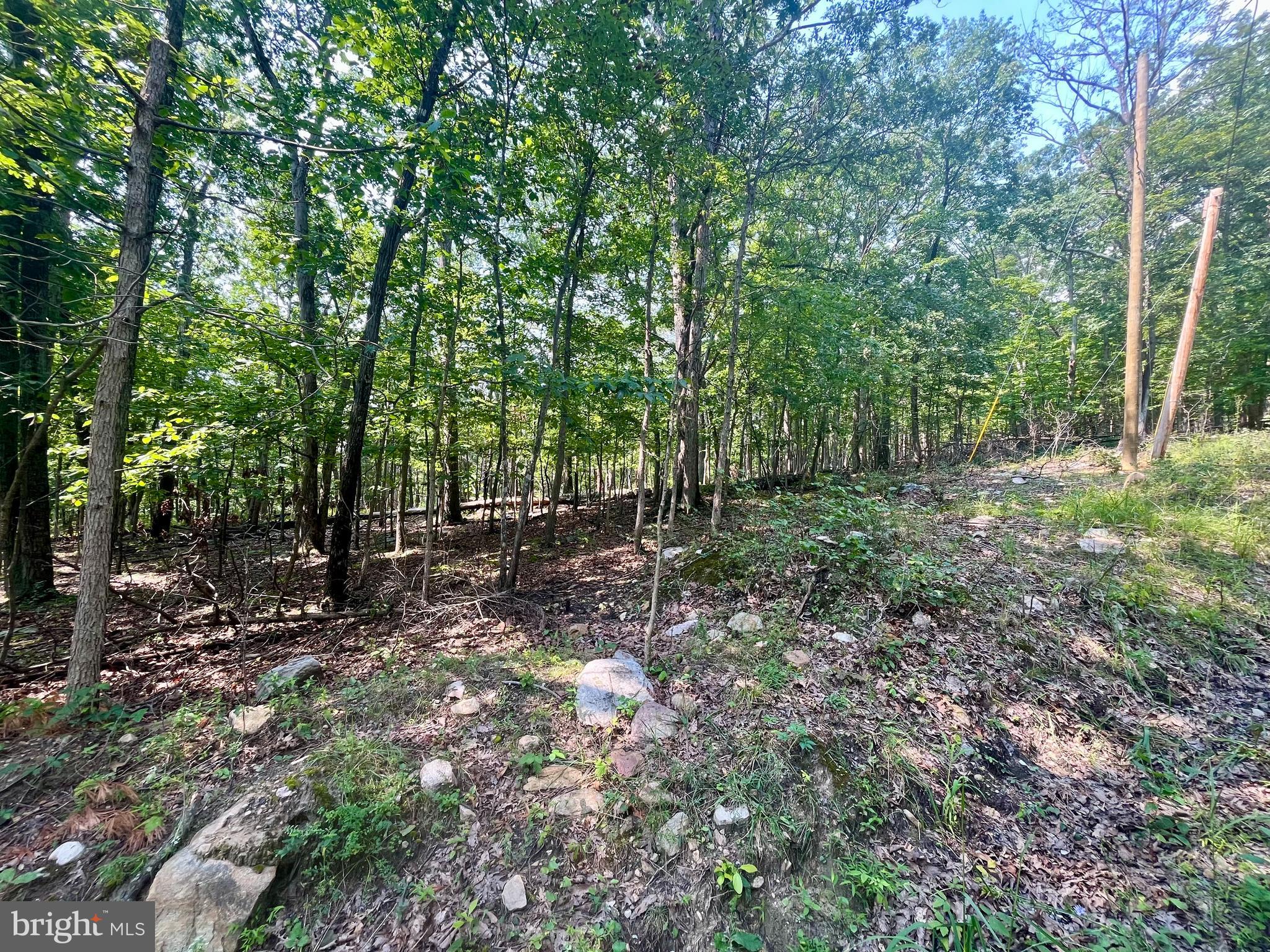 CROSS CREEK