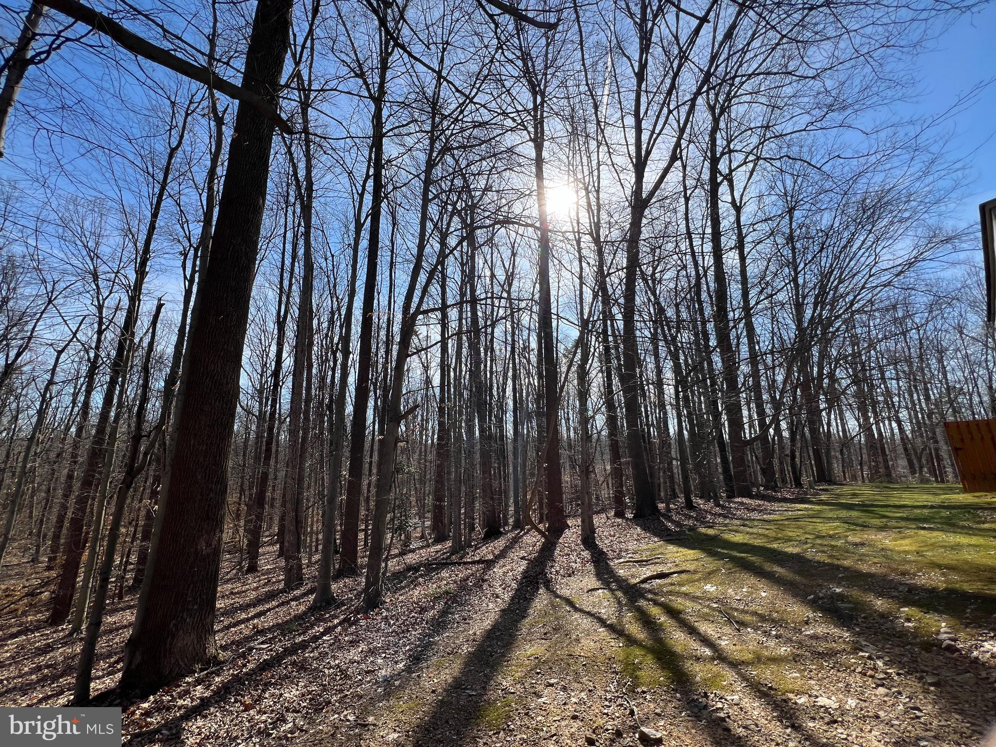 NEWINGTON FOREST - Residential