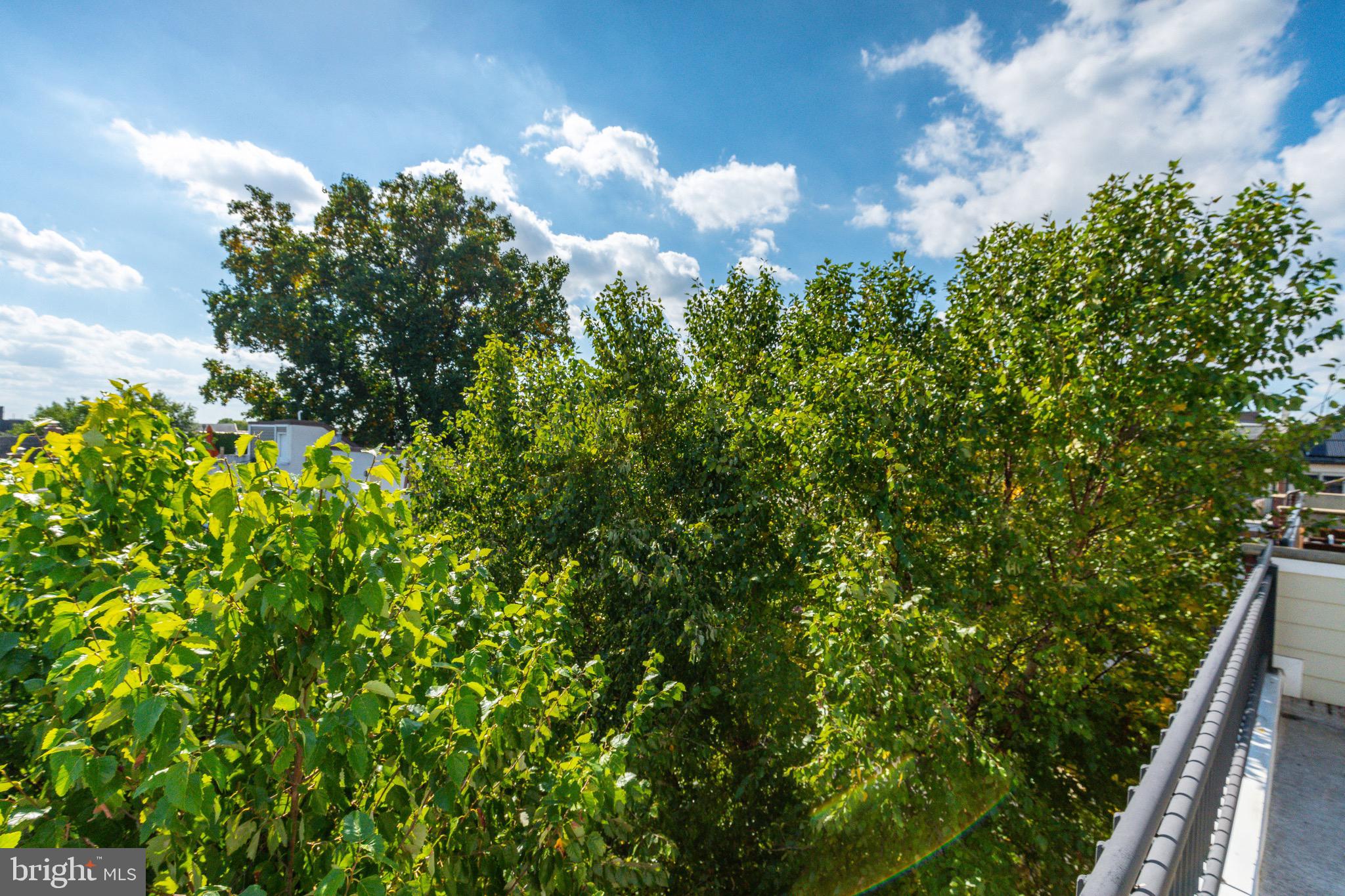 QUEEN VILLAGE - Residential